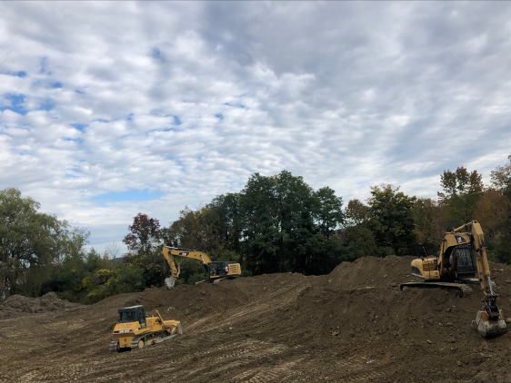 Isa Certified Arborist Tree Pruning Out On A Limb Tree Land