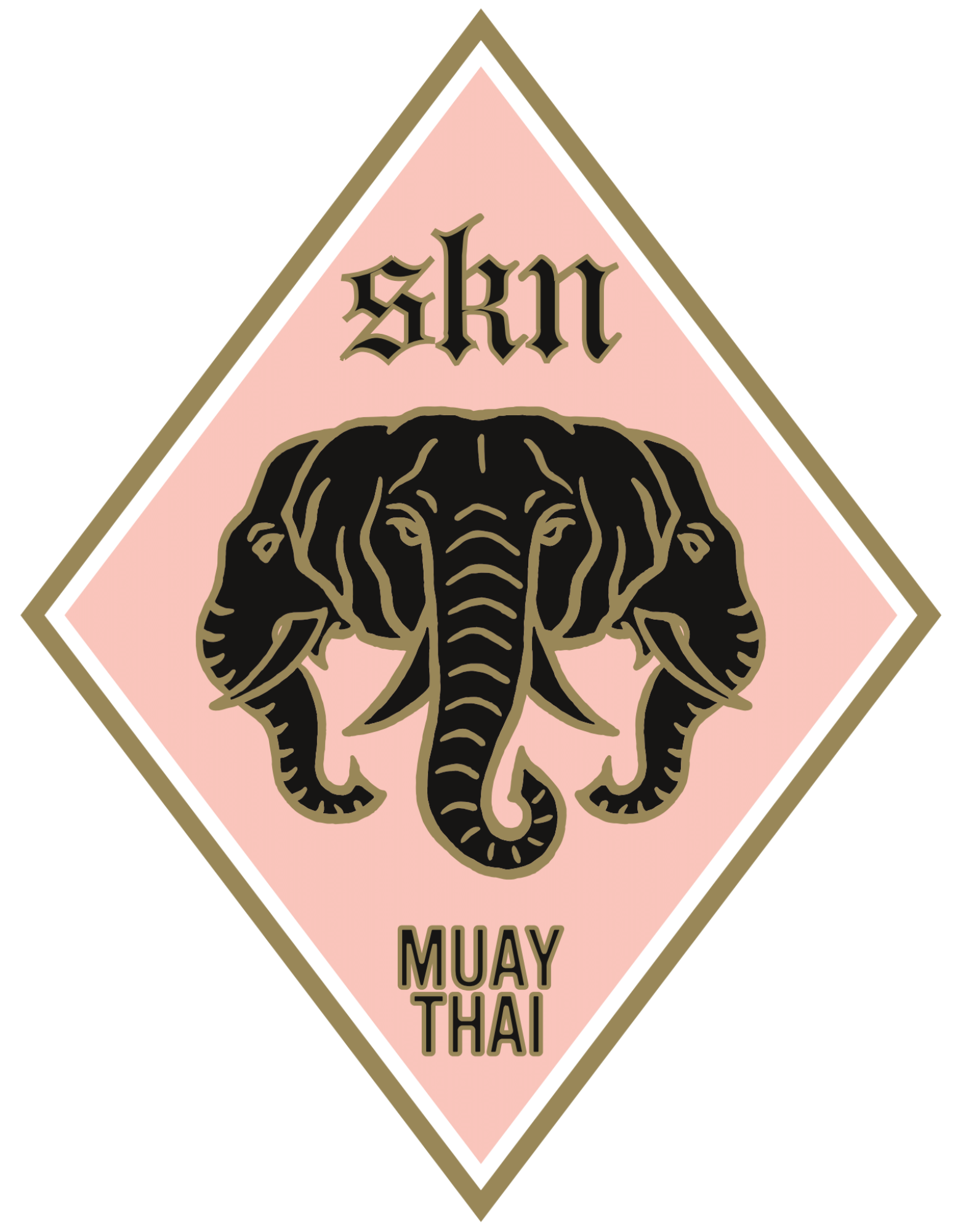 SKN Muay Thai Academy logo
