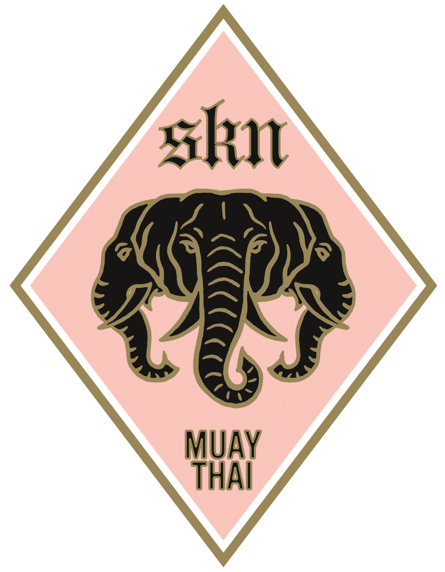 SKN Muay Thai