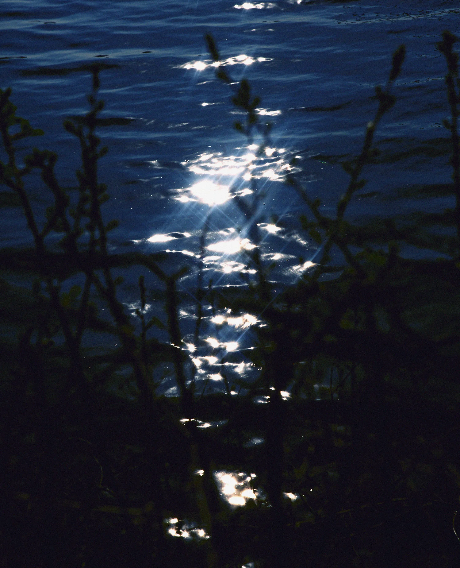 flow 1.jpg
