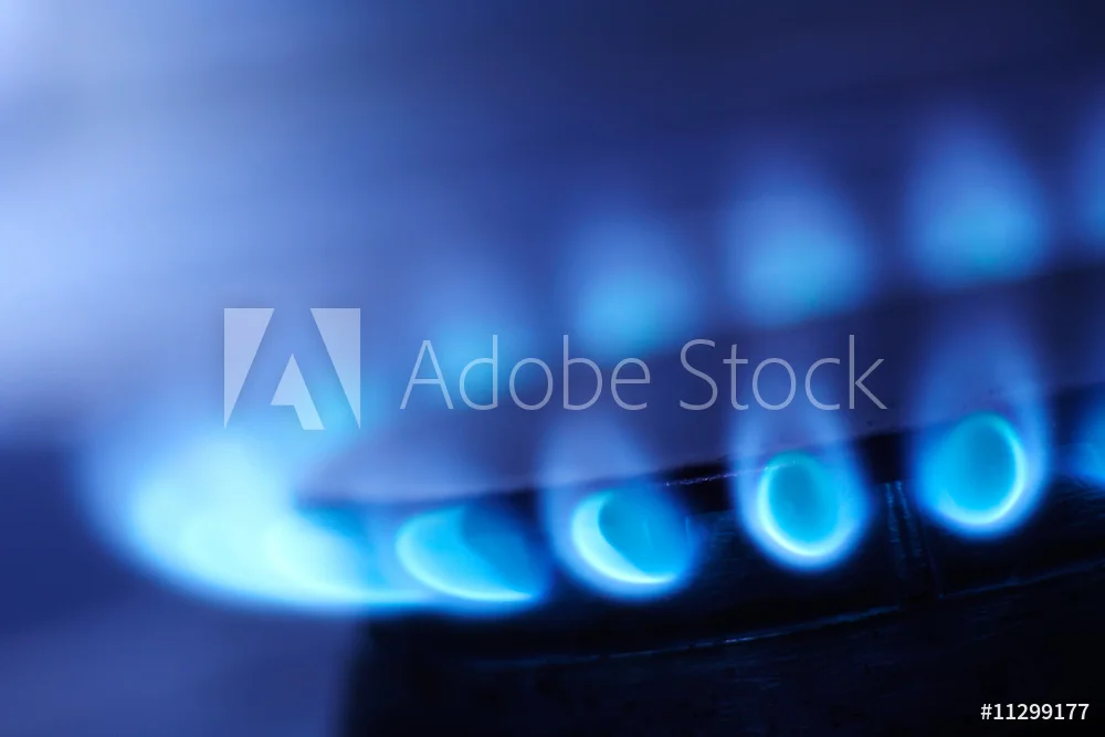 AdobeStock_11299177_Preview.jpeg