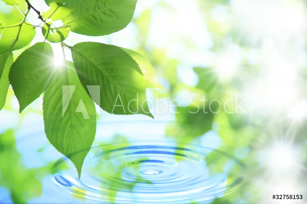 AdobeStock_32758153_Preview.jpeg