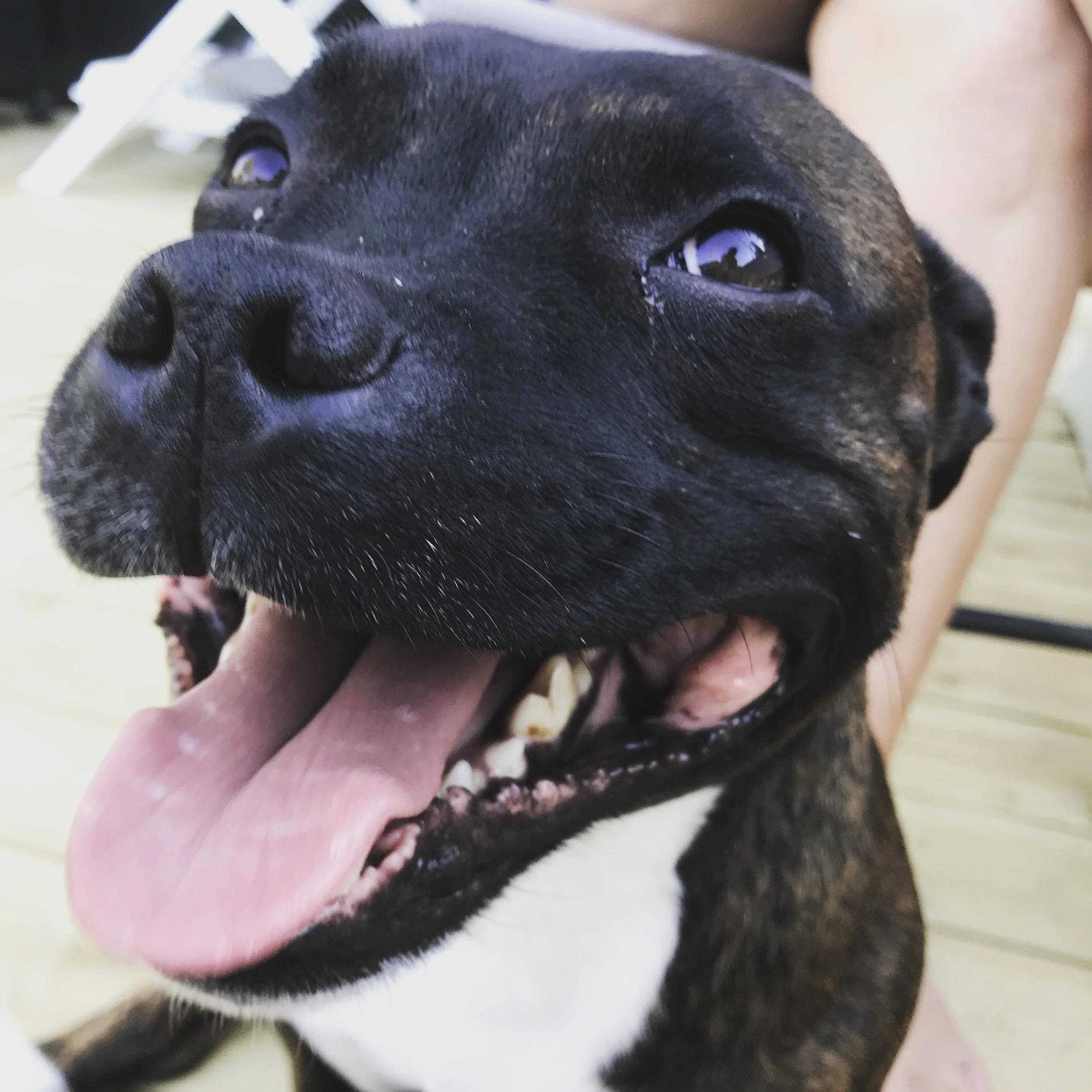 SMILE! 