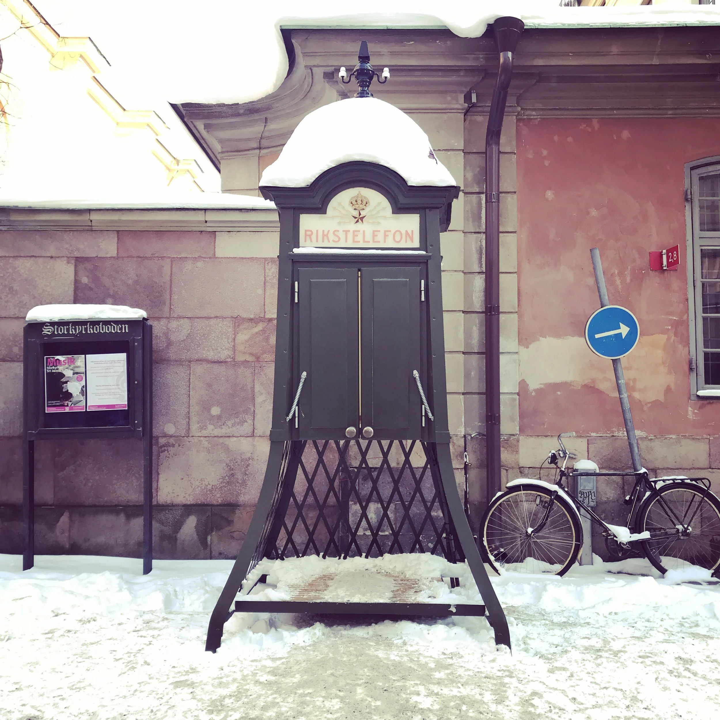 IMG_3549.JPG