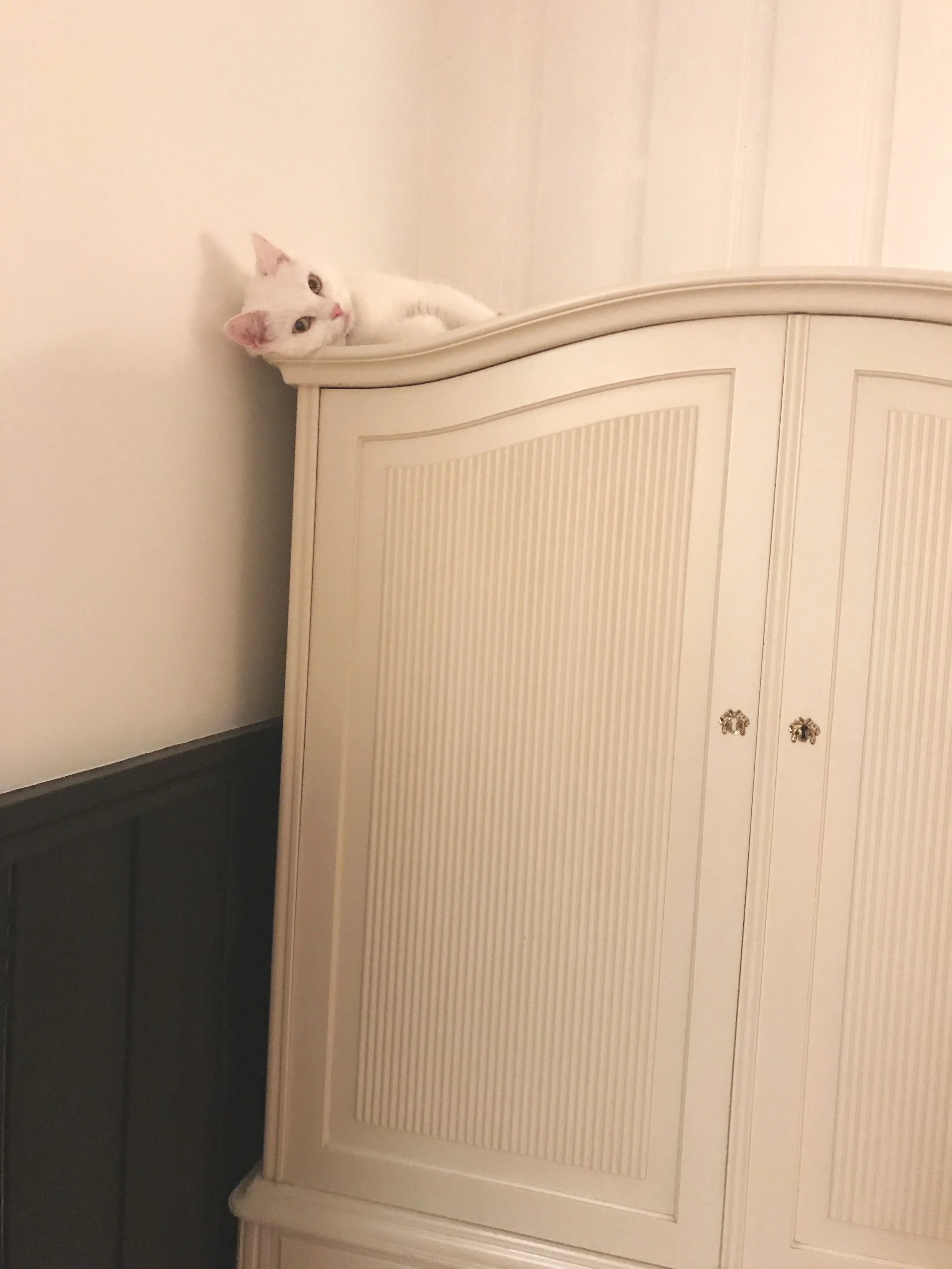 LAZY DAYS