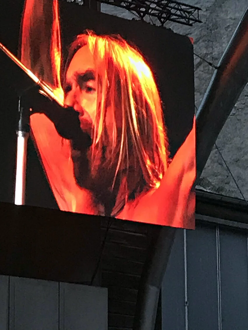 IGGY POP