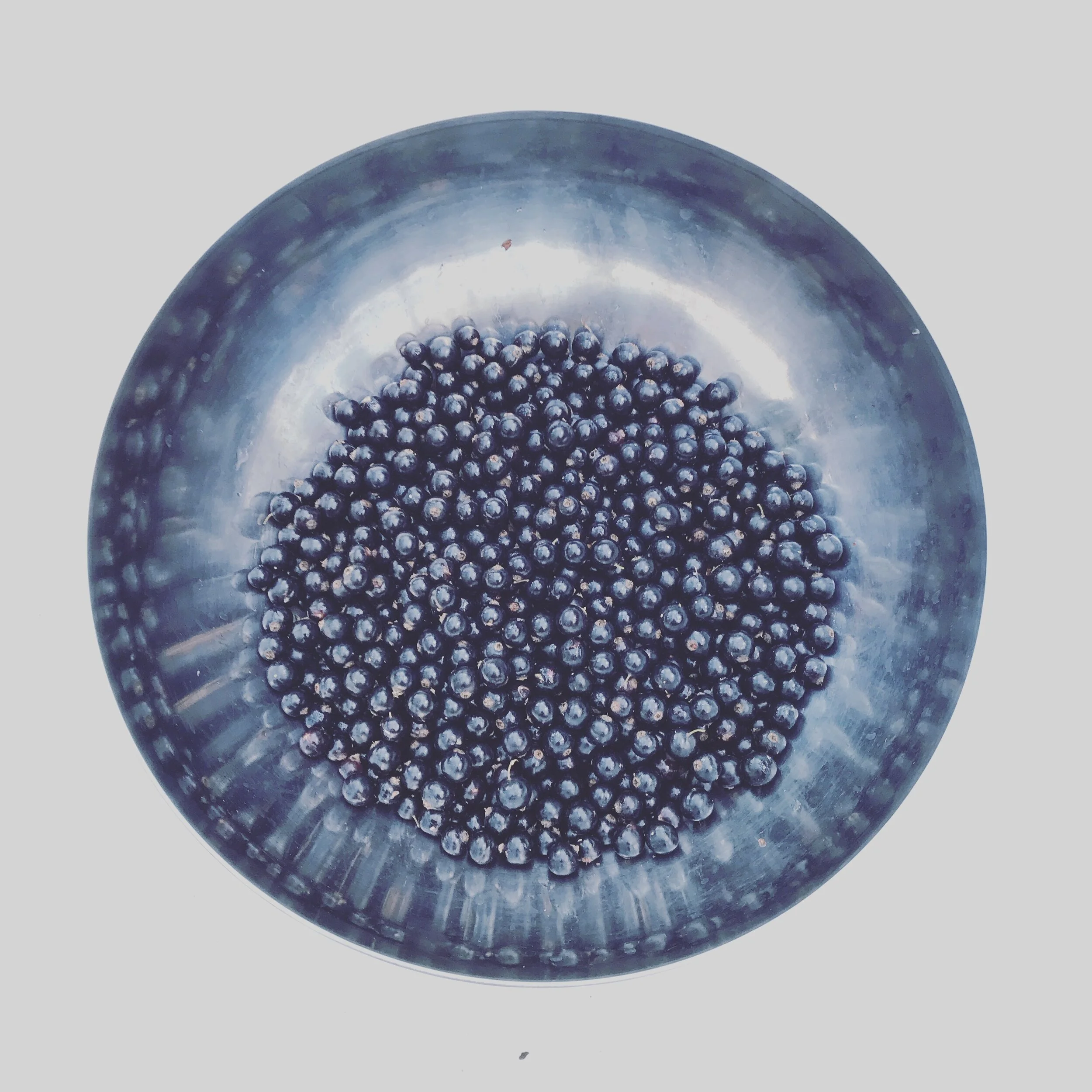 Blueberry season