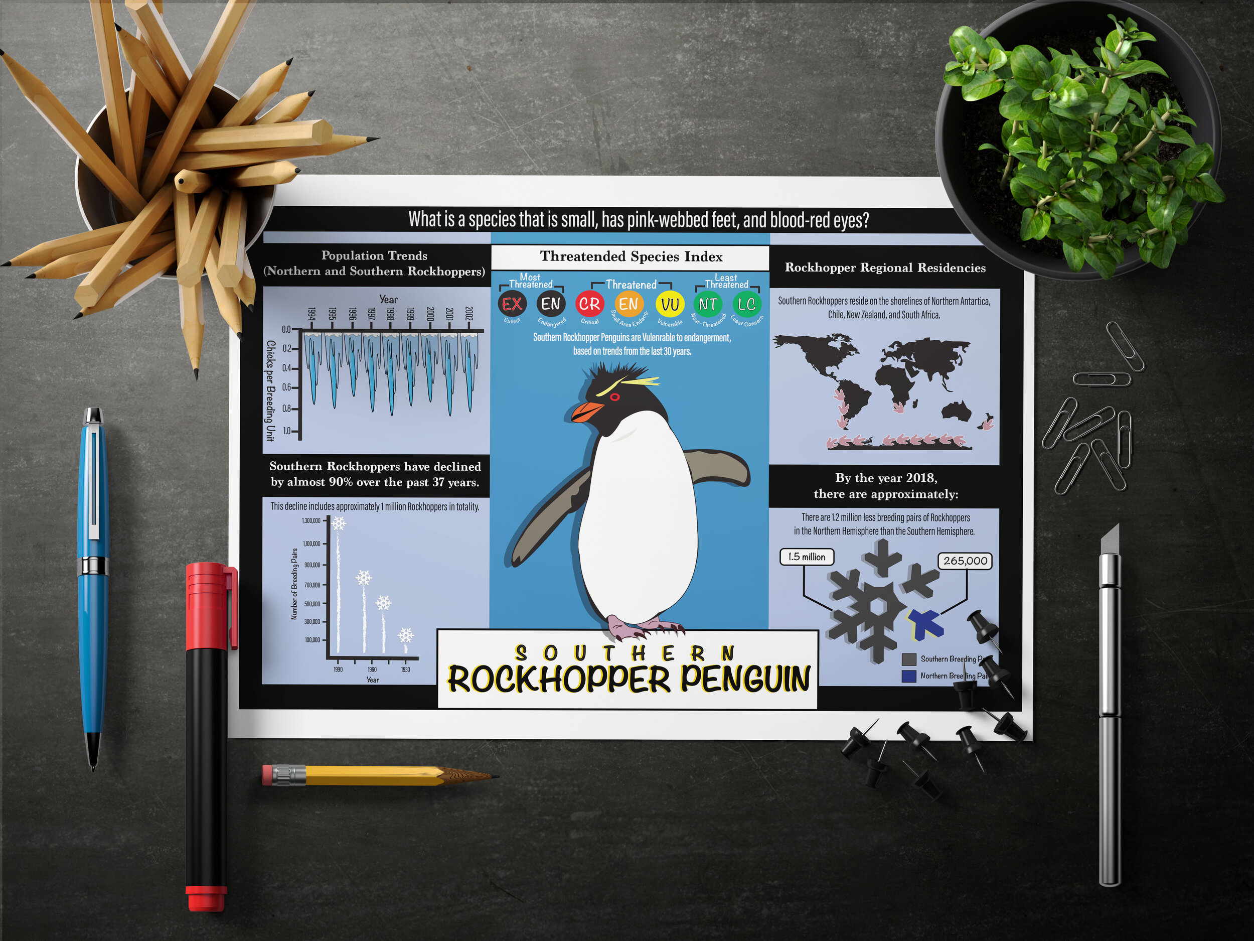 PENGUIN INFO MOCKUP UPDATE.jpg