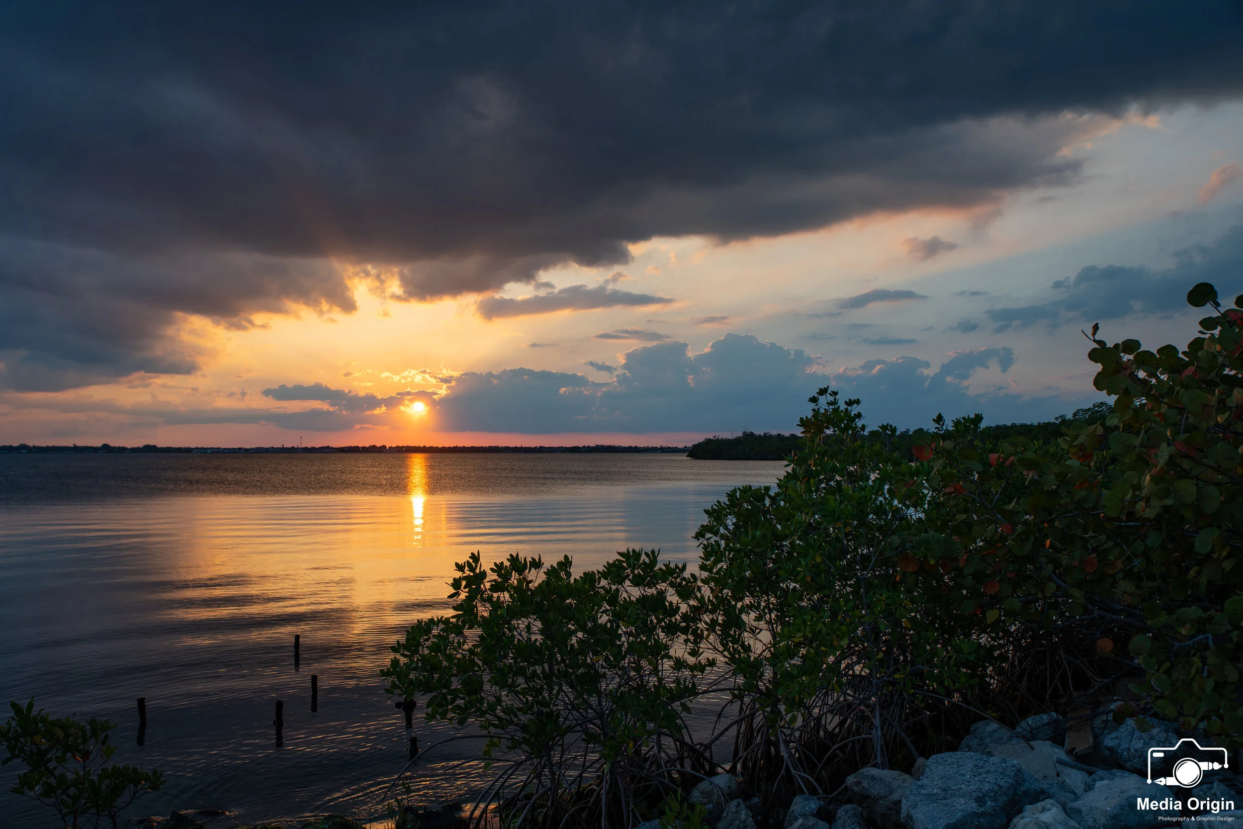 Florida Landscape 2.jpg