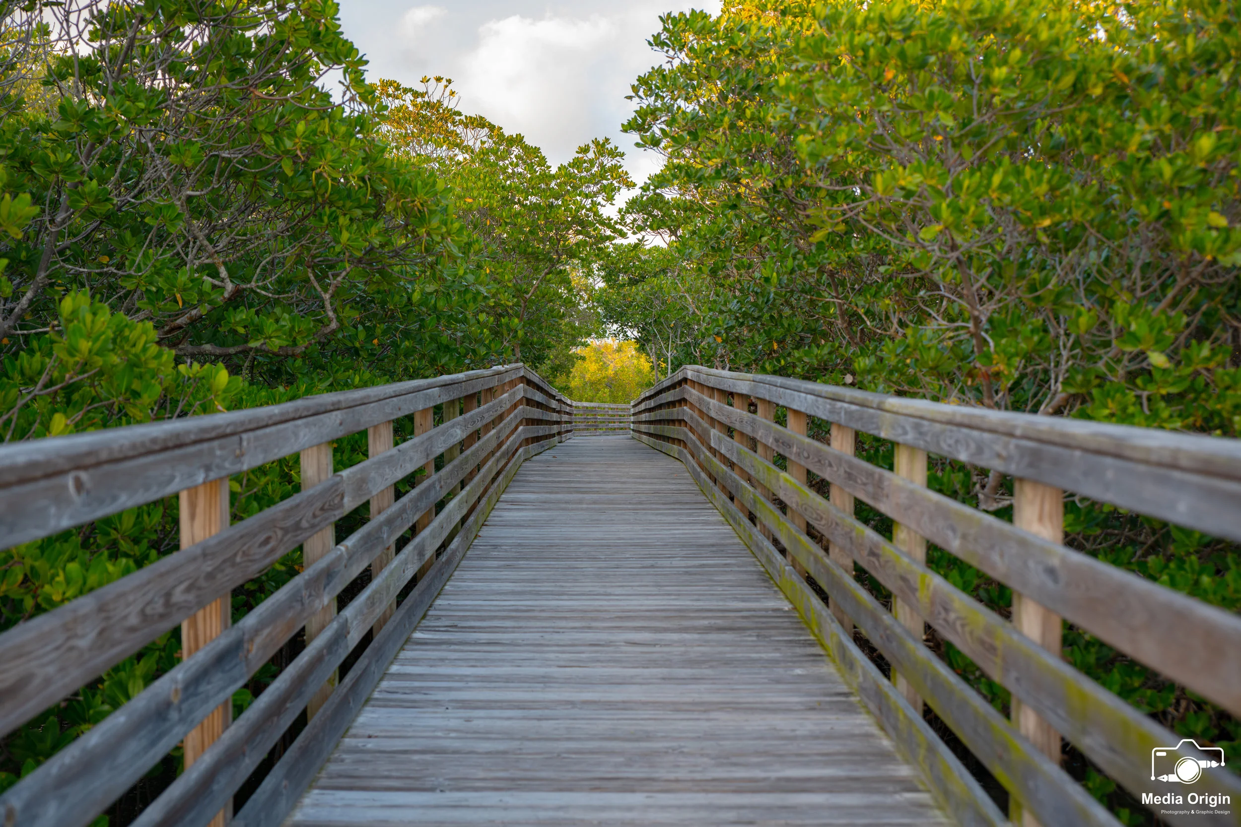 Florida Landscape 3.jpg