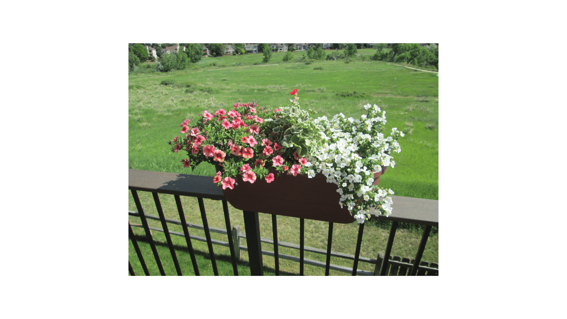 Container Flower Gardens