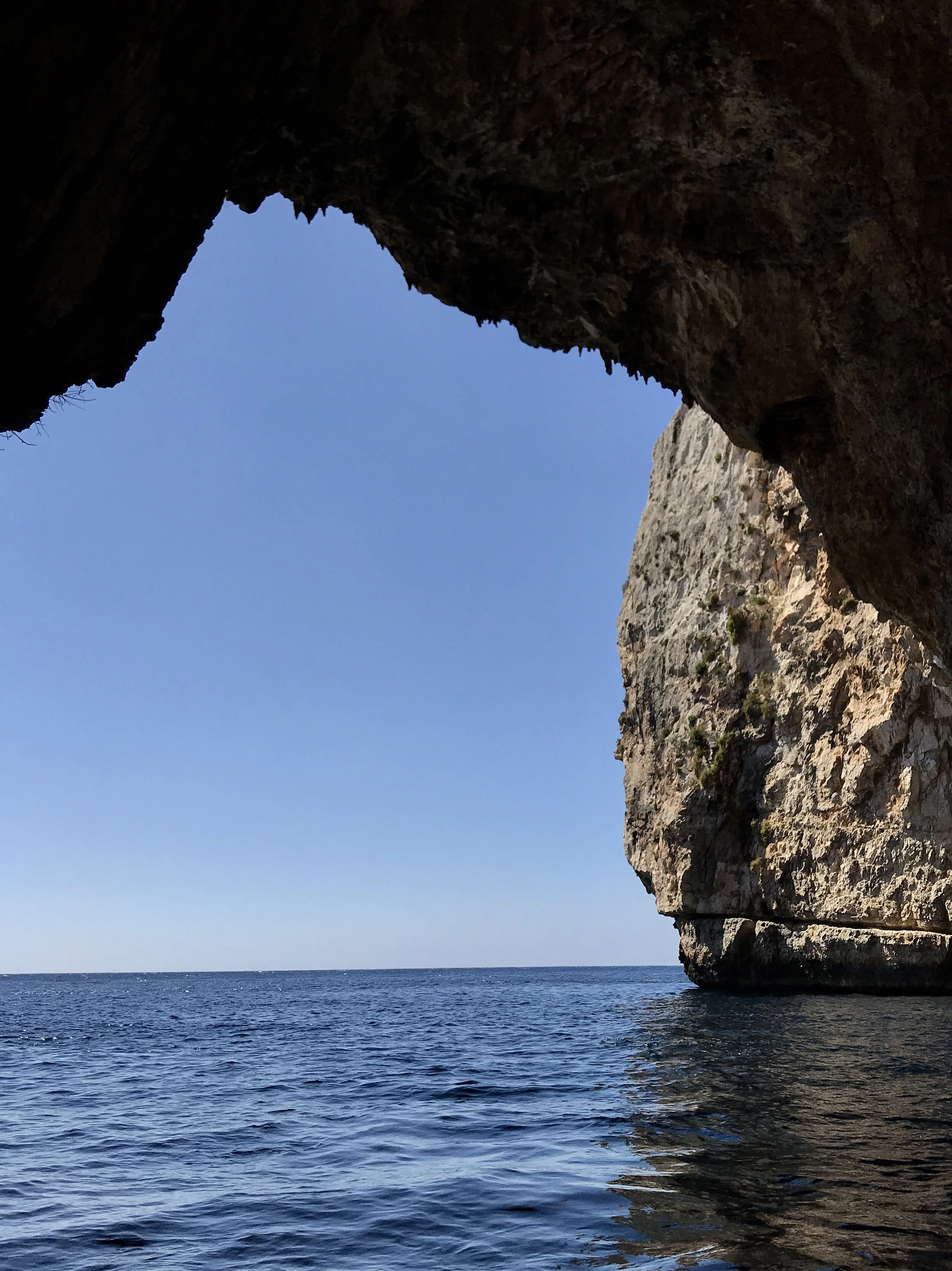 2020 - A New Reality