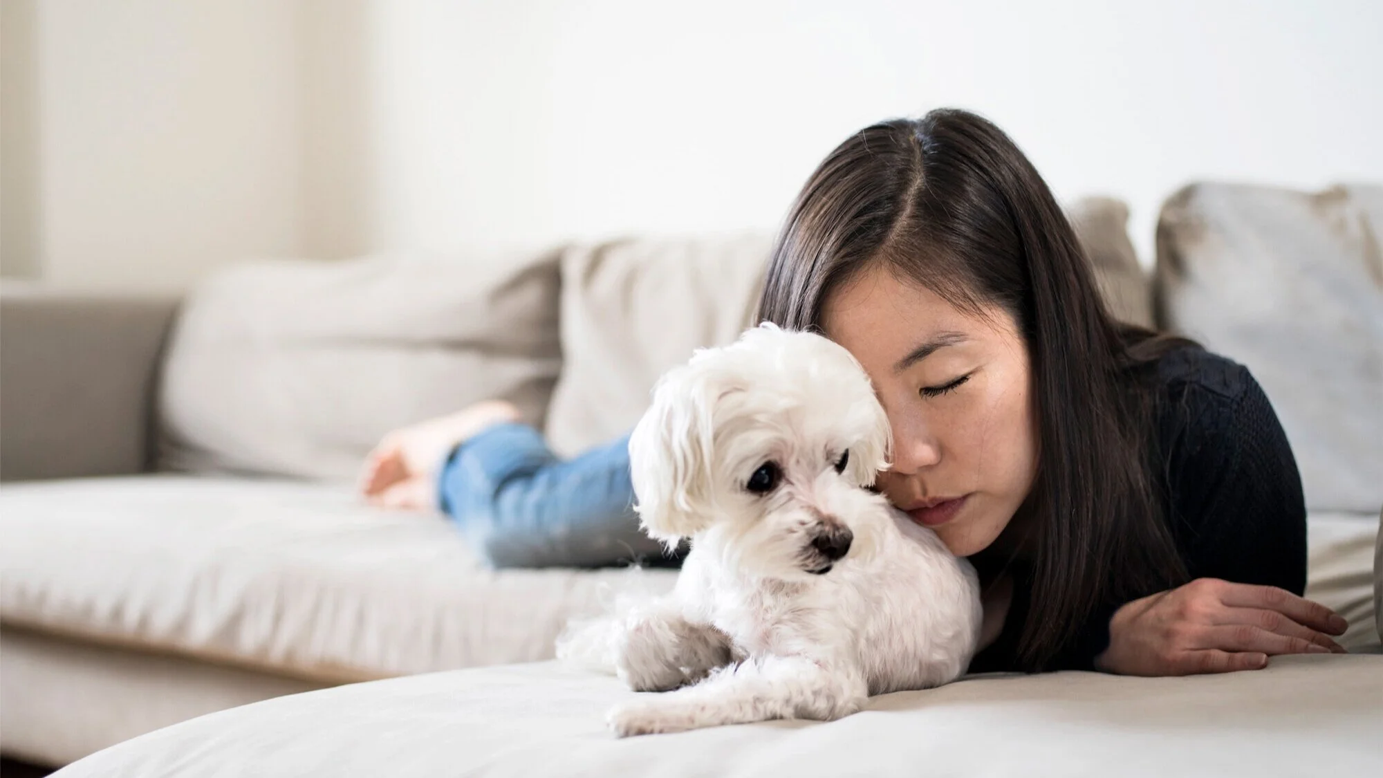 05+Banner+Diana+Haskell+pet+photography+family+photography+fine+art+NYC.jpg