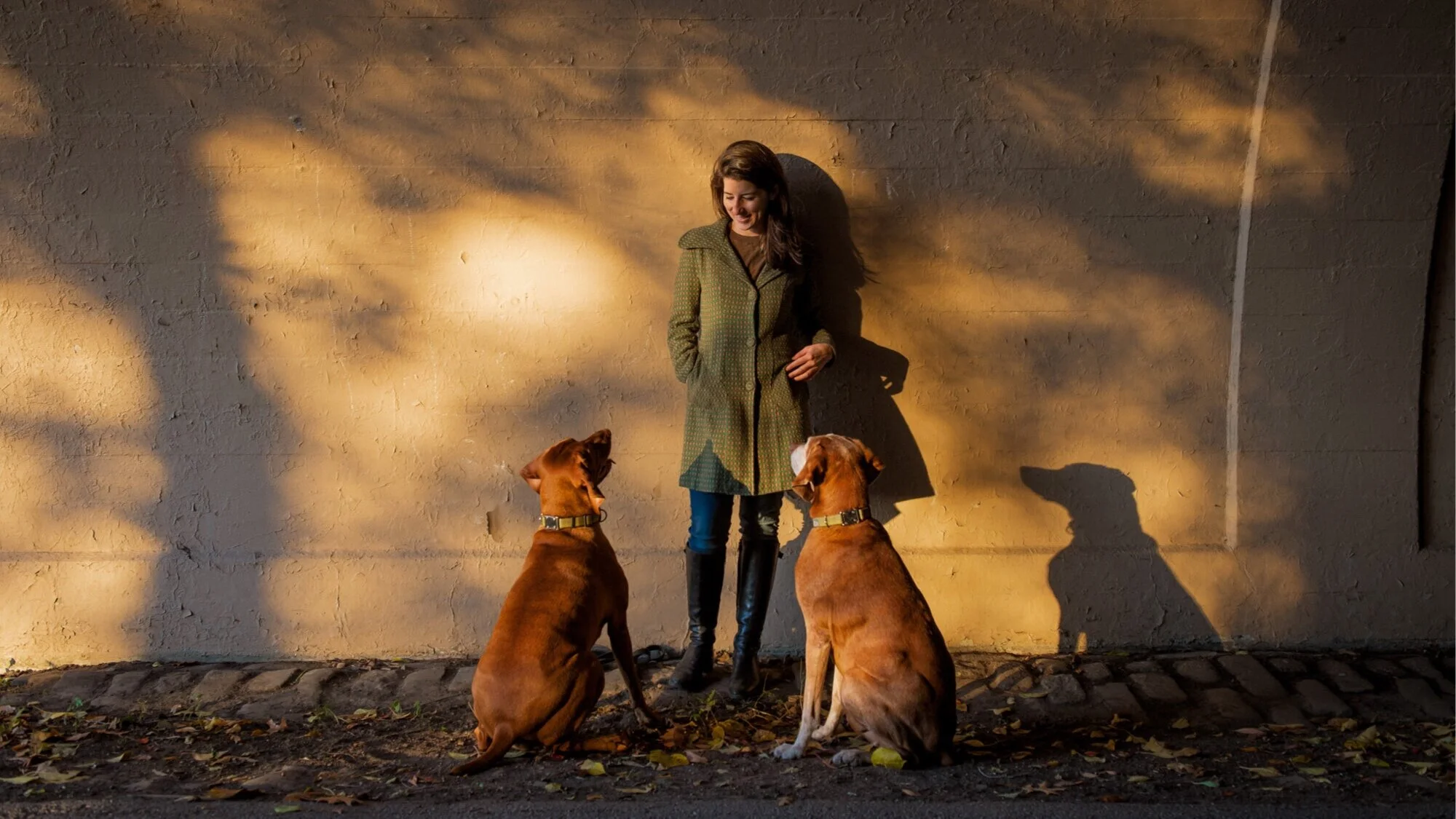 09+Banner+Diana+Haskell+pet+photography+family+photography+fine+art+NYC.jpg