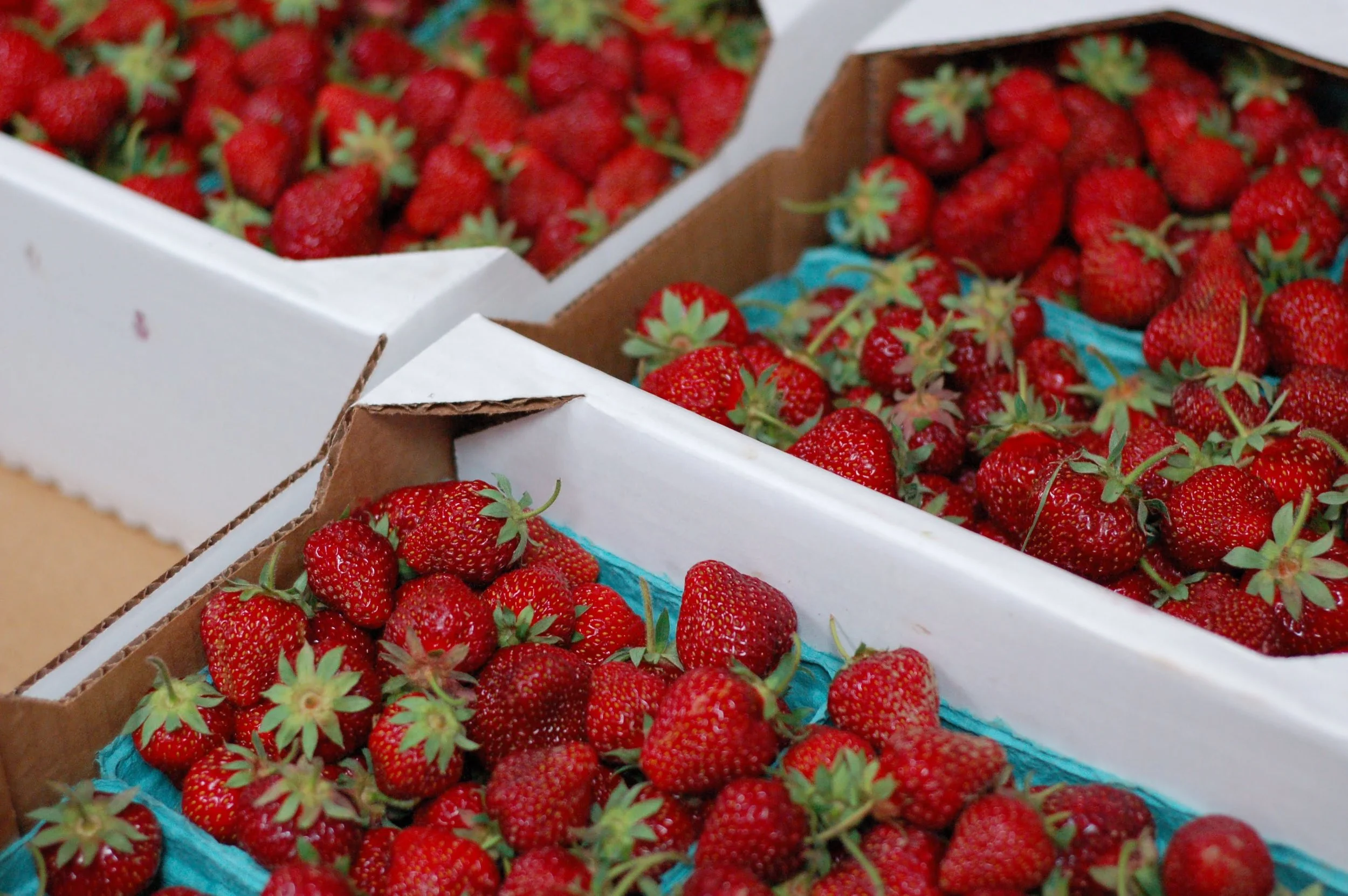  More photos coming soon! 