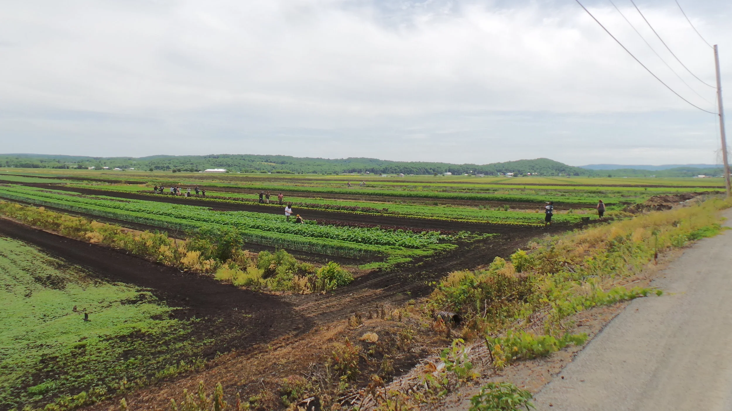20180609_135618.JPG