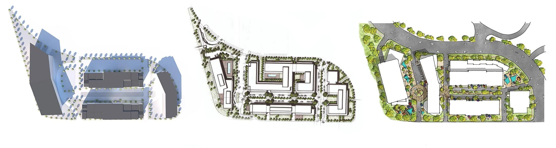 Process -Oaks.jpg
