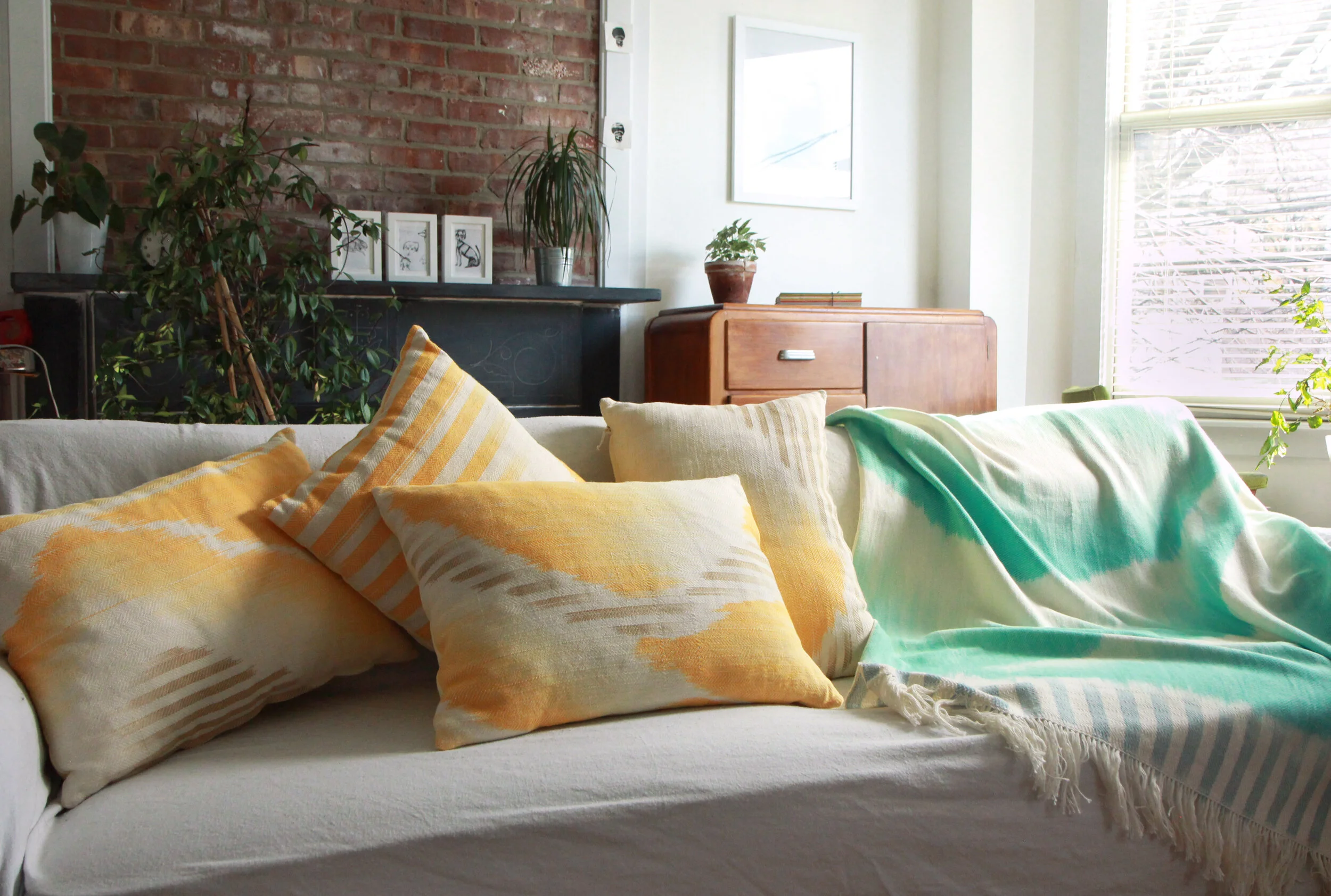 couch throw pillows.jpg
