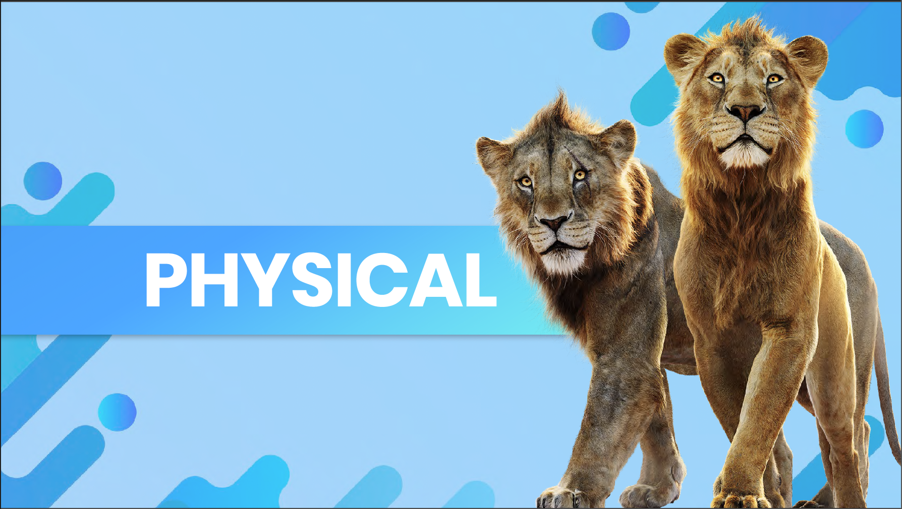 Screenshot 2026-03-06 at 4.49.26 PM.png