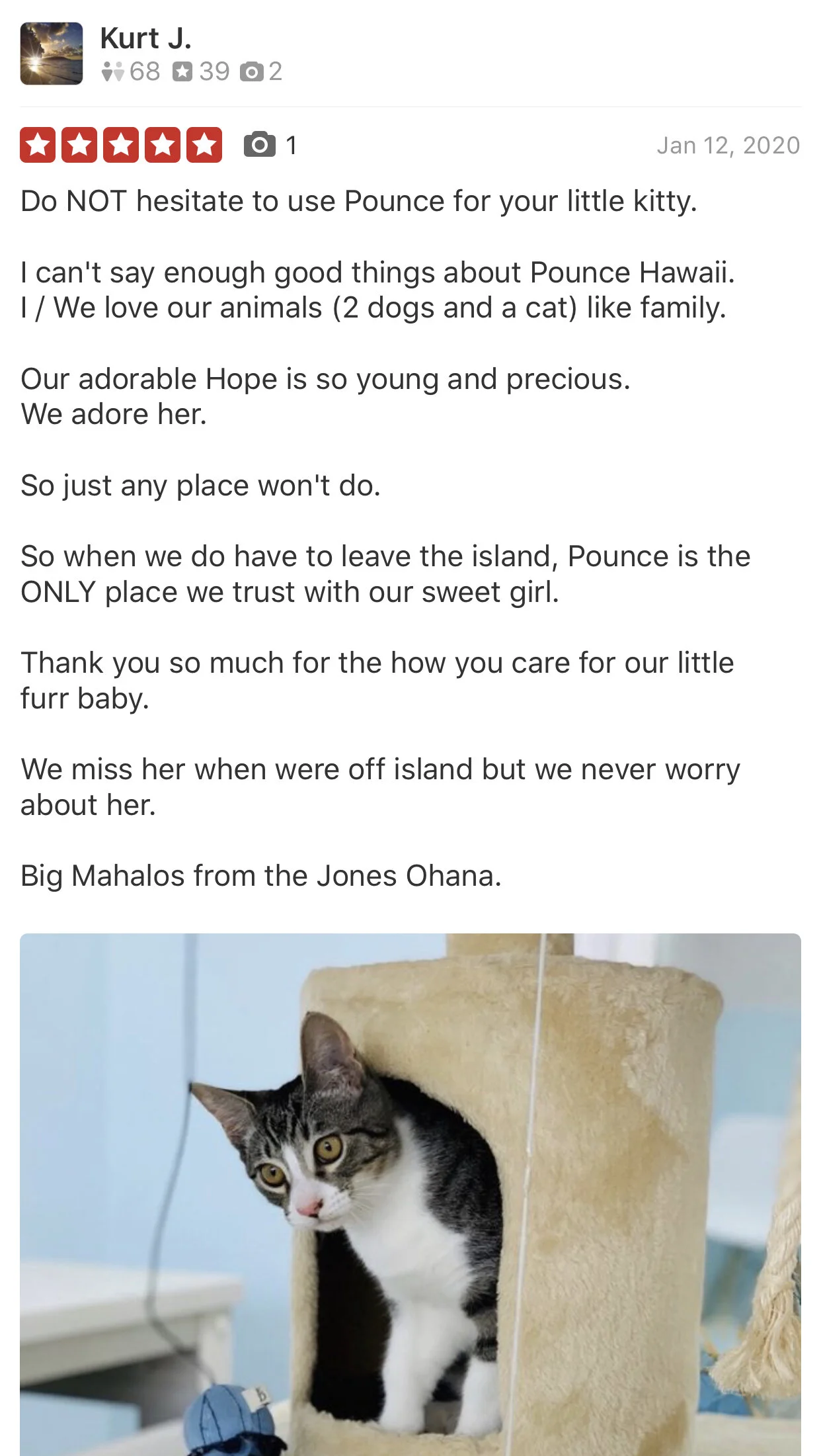 Pounce Hawaii