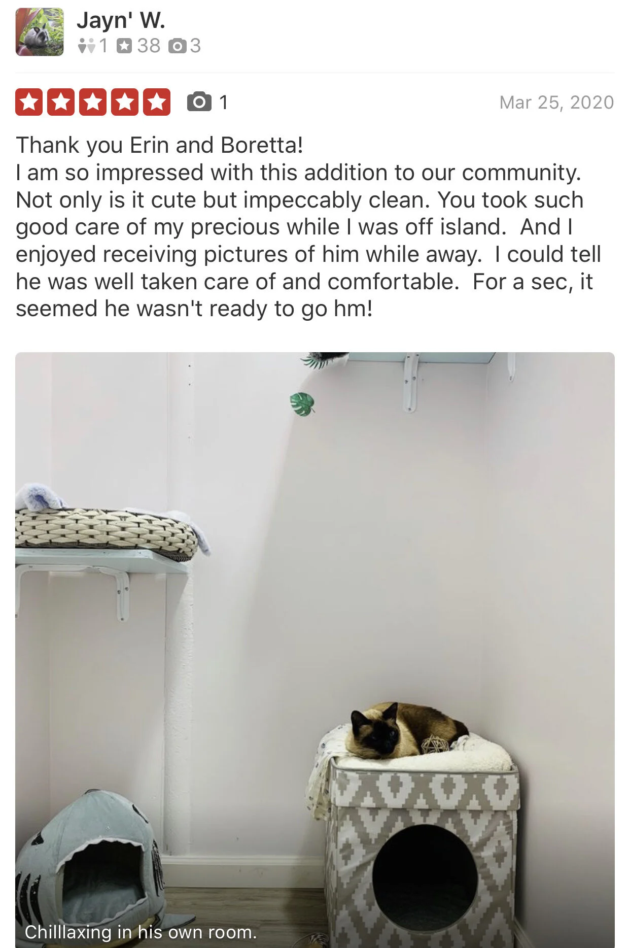 Reviews Pounce Hawaii