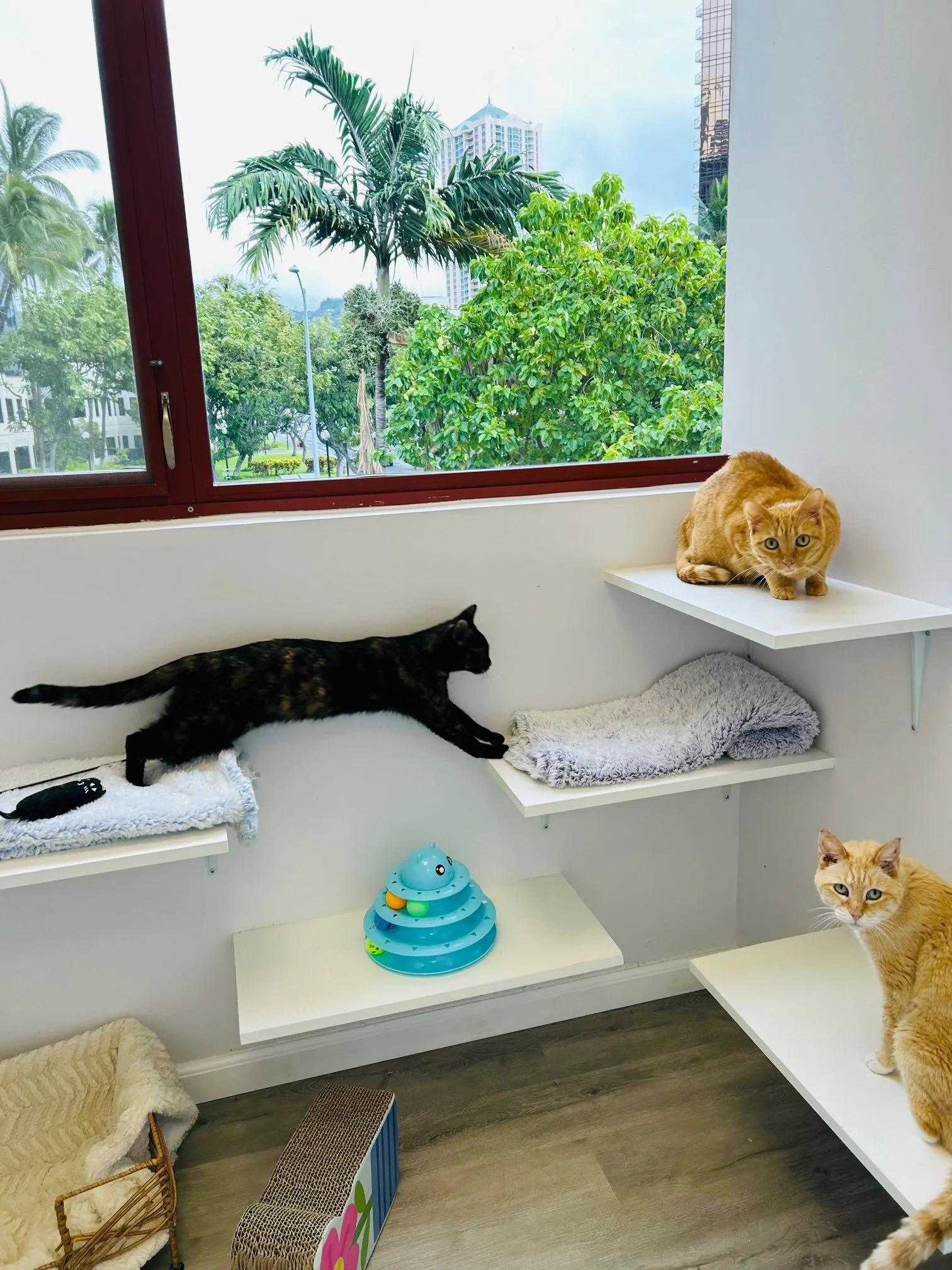 cat hotel da nang