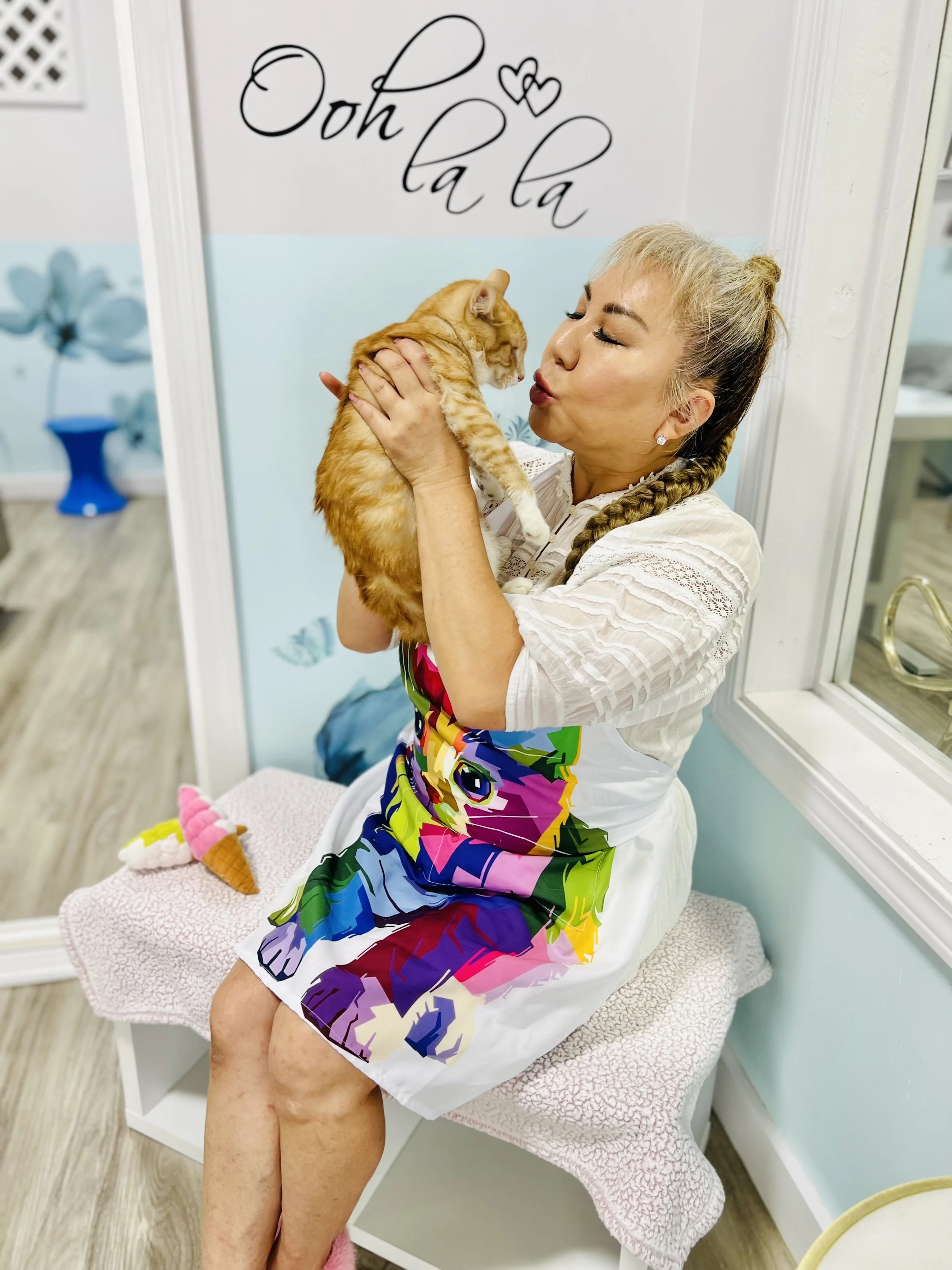 Cat Grooming Honolulu — Pounce Hawaii