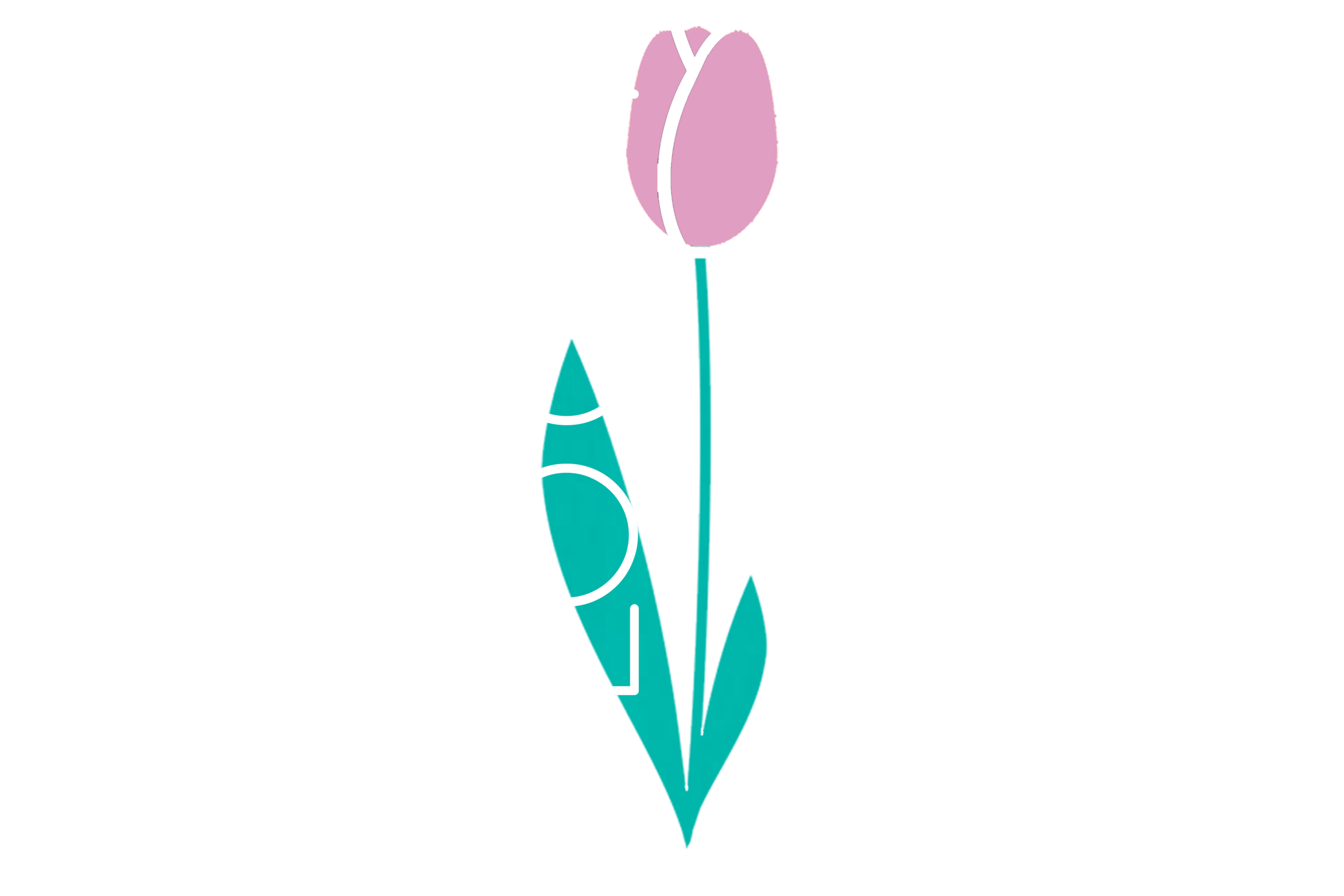 Bloom Elements