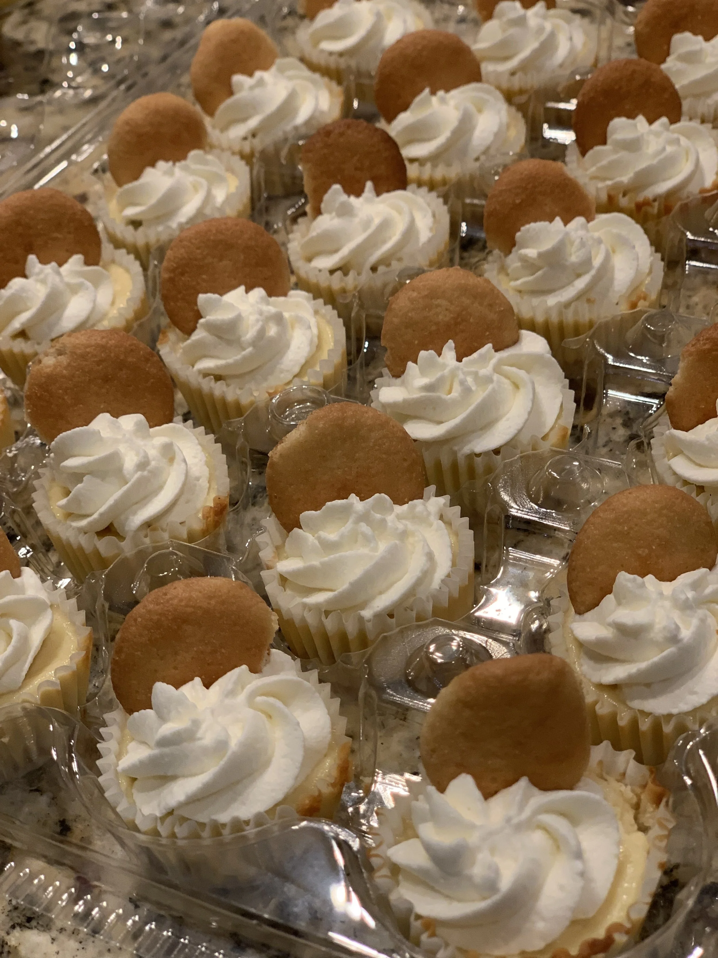 cupcakes.jpg