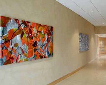 hc11.jpg