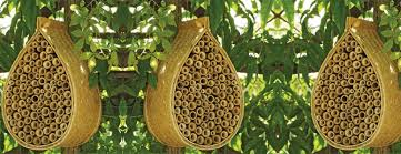 Mason Bee Hive Pic.png
