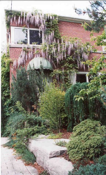 Landscaping Pic 8.jpg