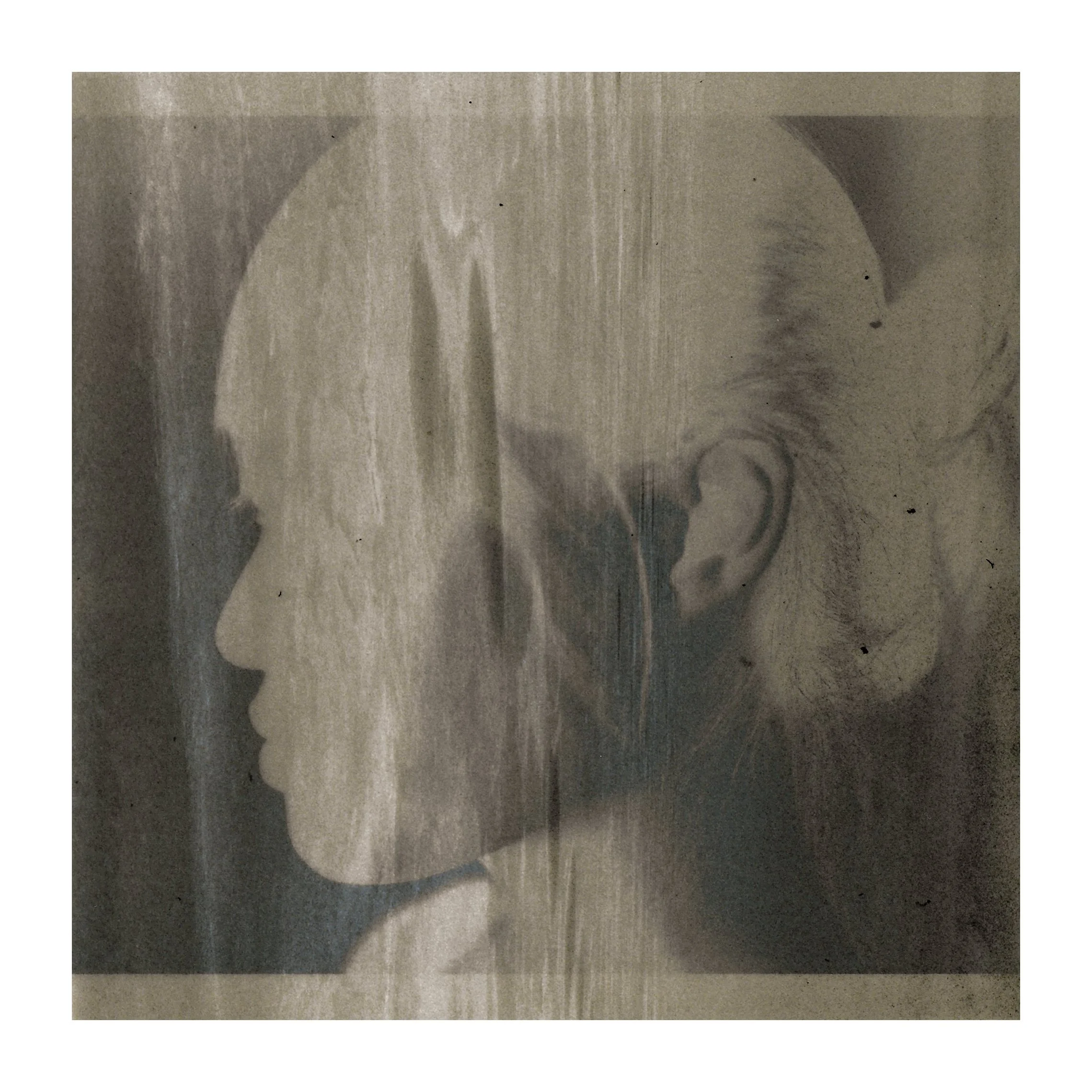 nosay--3.jpg