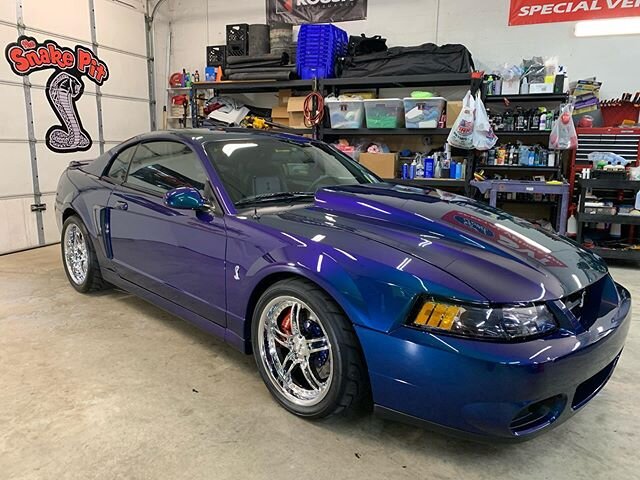 Tony Rottinger awesome 04 Mystichrome came to TSP for touch up, paint correction, 2 stage ceramic with The Gloss Shop new PHO3NIX coating. Pics cannot capture how incredible this car turned out.
Thx Tony! #thesnakepit #tspspeedshop #somuchmorethanjus