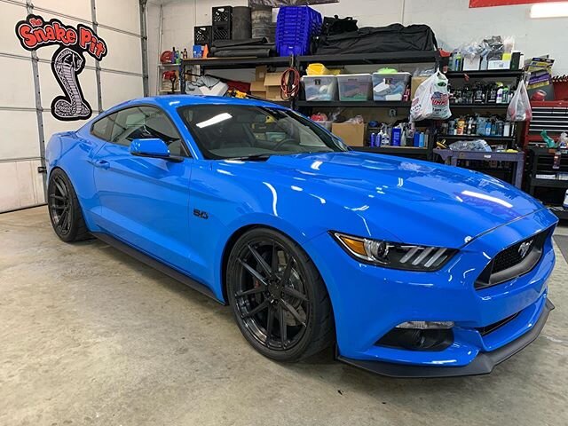 Jeff Kett&rsquo;s 2017 Whippled Mustang GT in for a well documented fuel pump replacement, oil change, hood struts, and the world famous TSP detail with paint correction, 2 stage ceramic featuring The Gloss Shop new PHO3NIX ceramic coating.
Looks inc