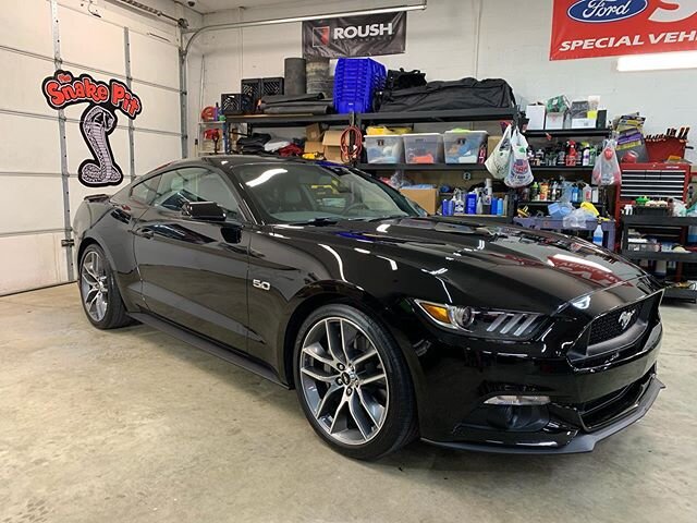 Kevin Madey&rsquo;s 2017 Mustang GT in for MGW Shifters install and the famous TSP detail.
Including touch up, wet sanding, multi stage paint correction, and 2 stage ceramic coating.
Came out awesome!
Thx Kevin!