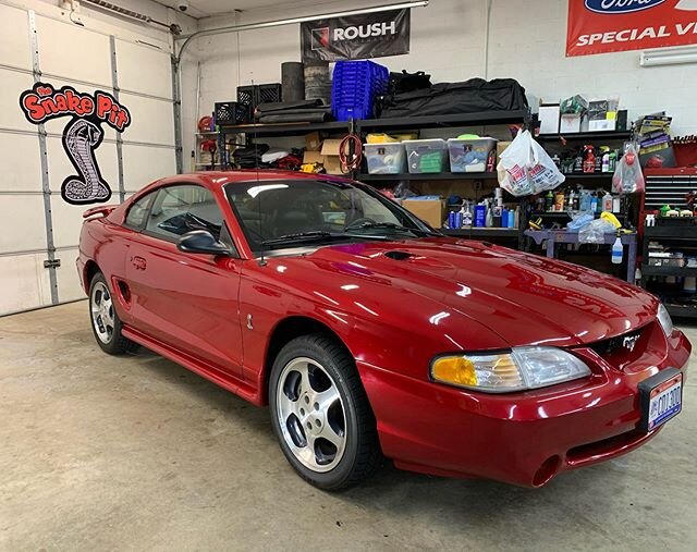 Herb and Diane Quednau&rsquo;s super clean 1996 Laser Red Cobra in for some routine maintenance 
Thx Herb and Diane!