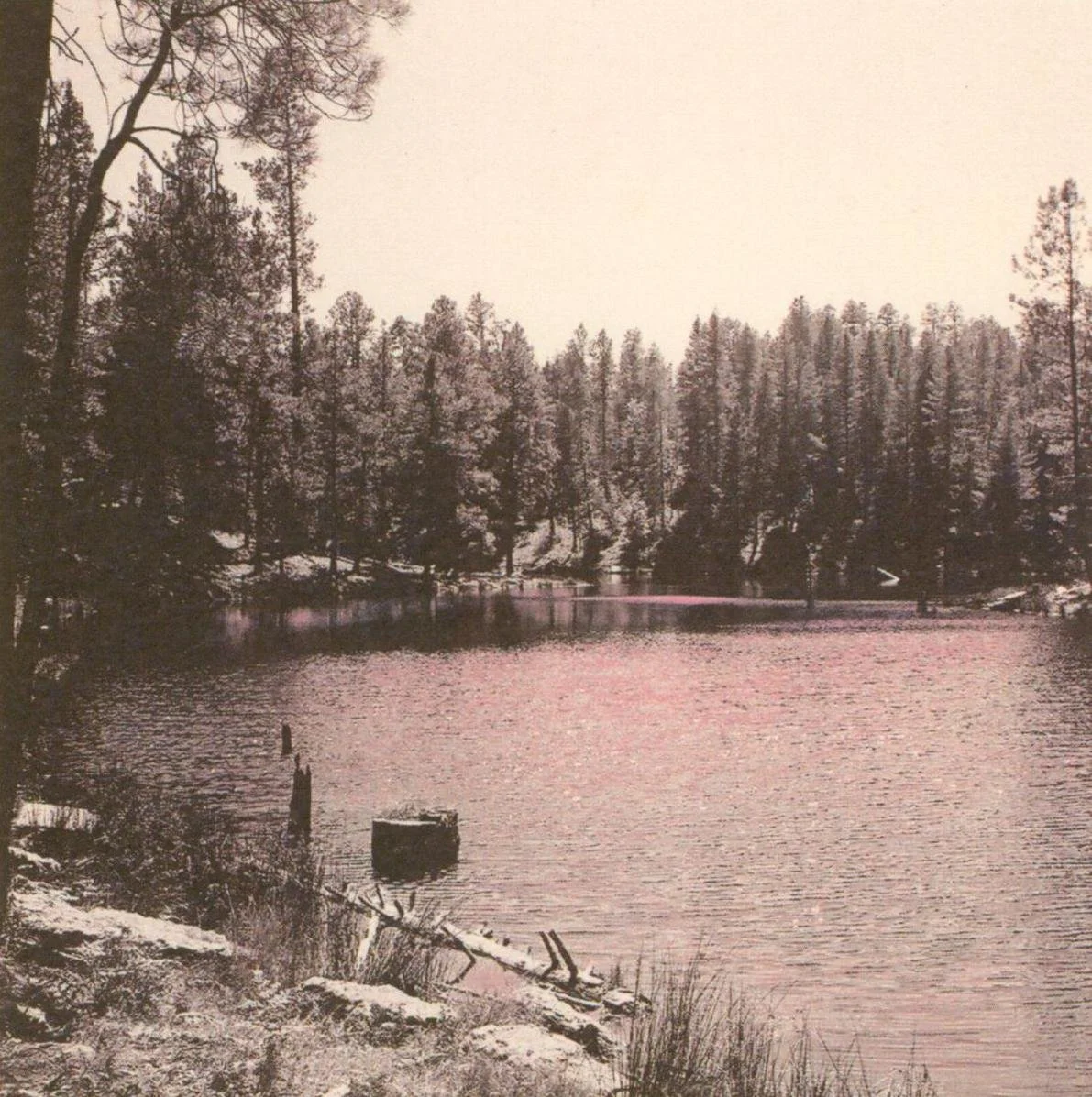 2024-01-25-16-20-10-01 copy.jpg