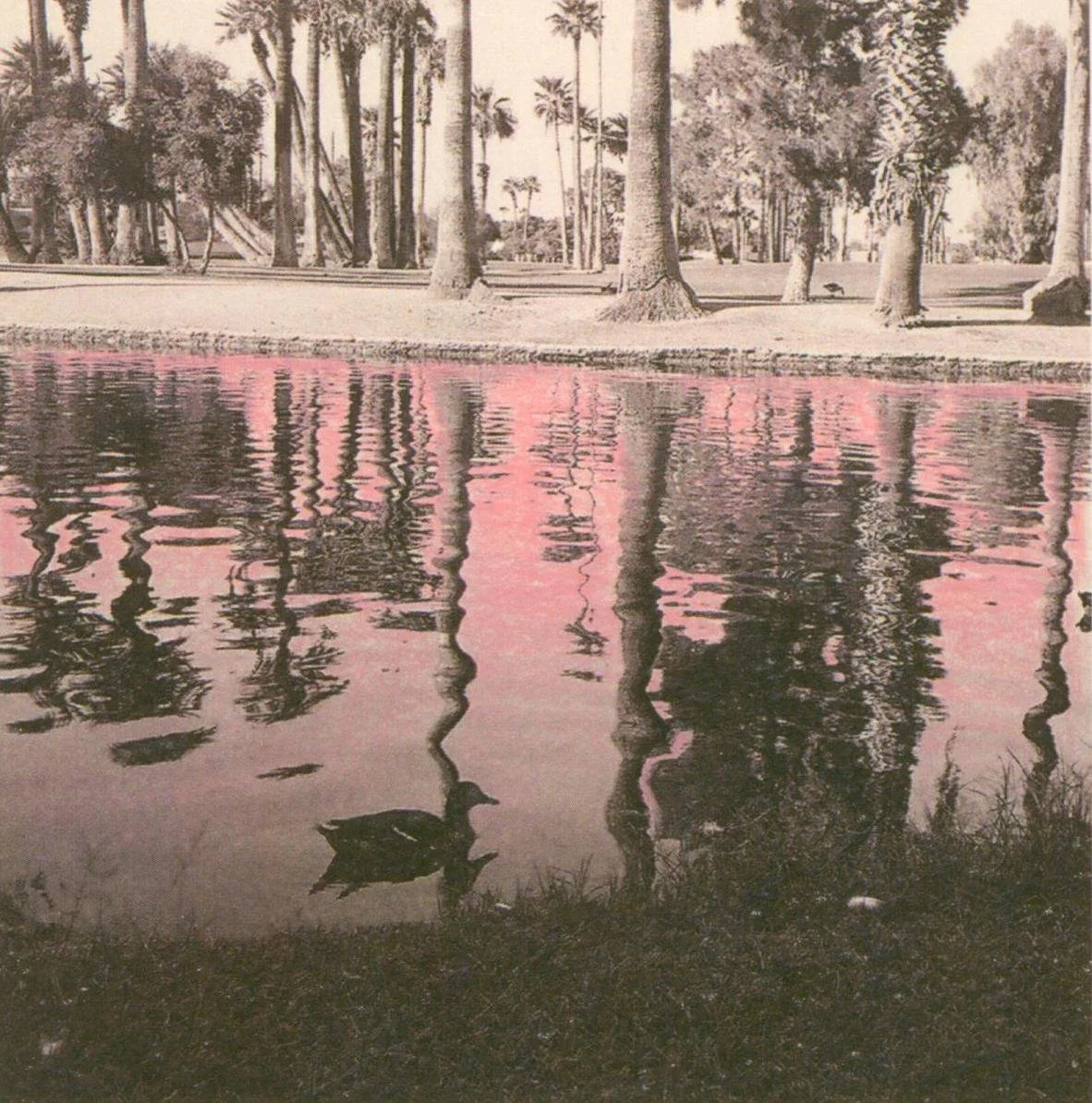2024-01-25-16-20-53-01 copy.jpg