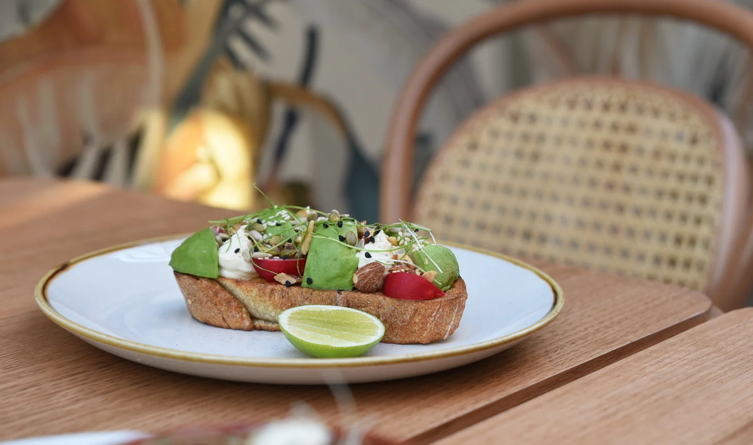 avo-sisterhood-hobart.jpg