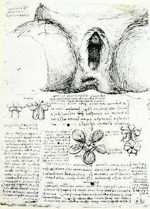 1508- The Vulva and anus- Da Vinci.jpg