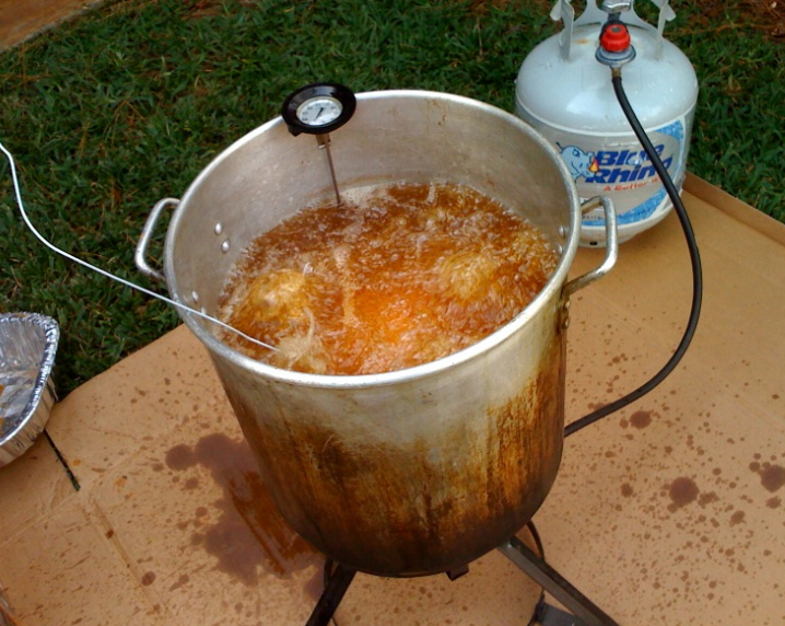 momsgoop-thanksgiving-Deep Fryer   David Burn   Flickr.png