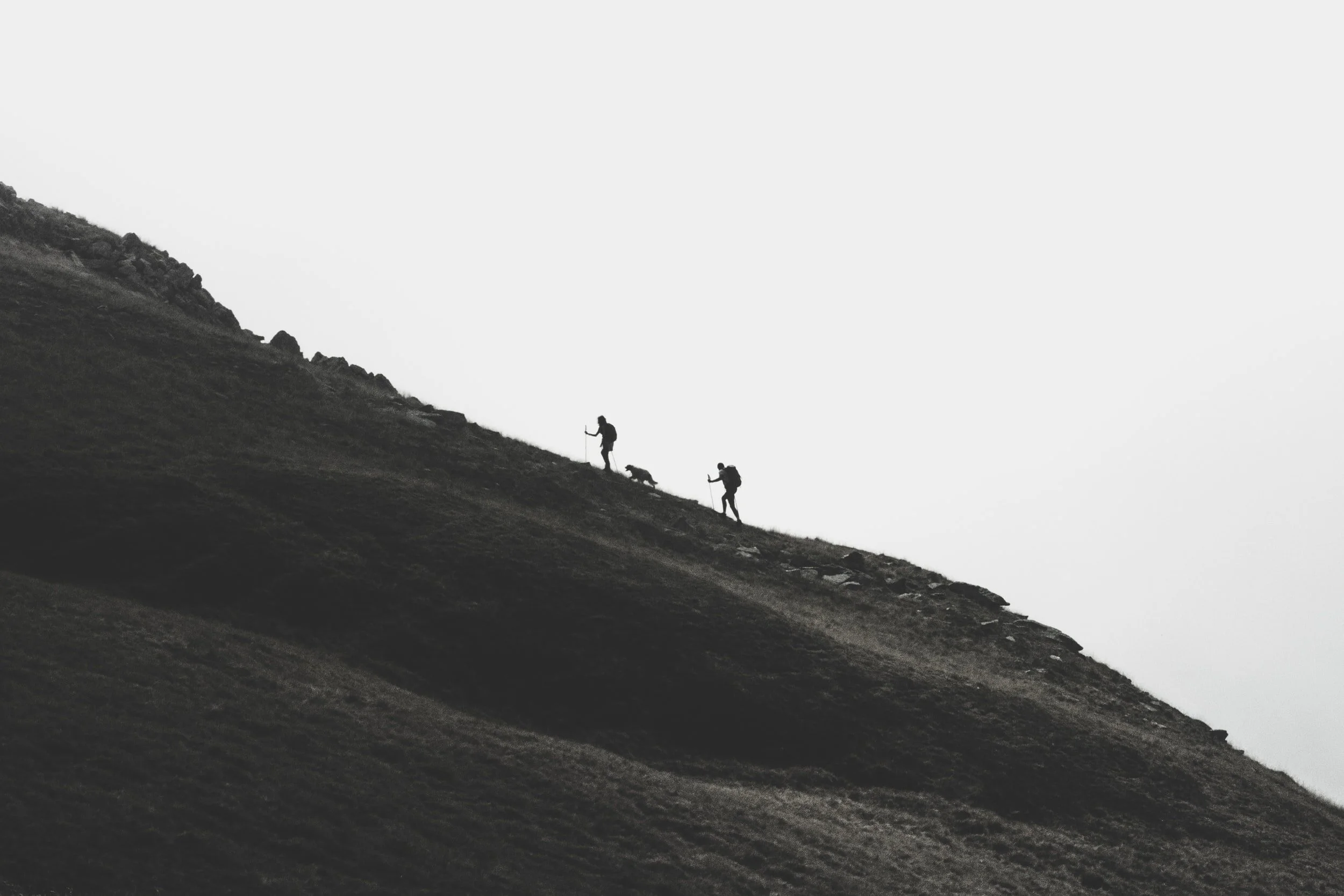 Fixing Retail Investing, Part II: Platform-Based Nudges Toward Long-Term Investing