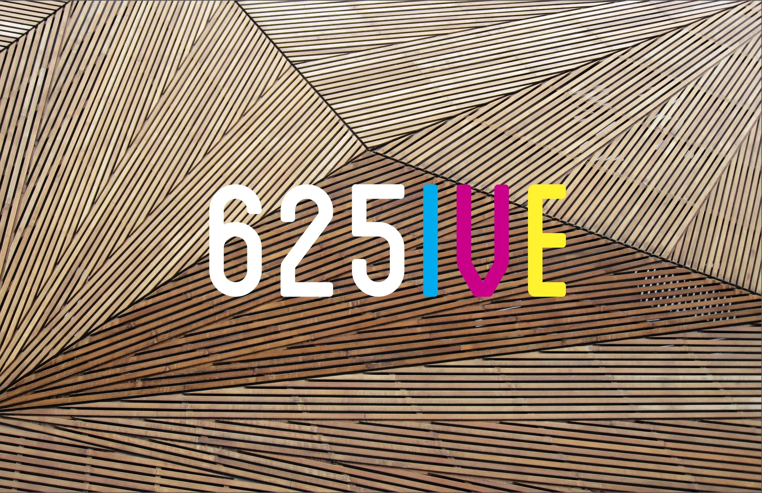 LocalBrandStudio_Logo+BrandDesign_2024_BrianErlinder_Master7.jpg