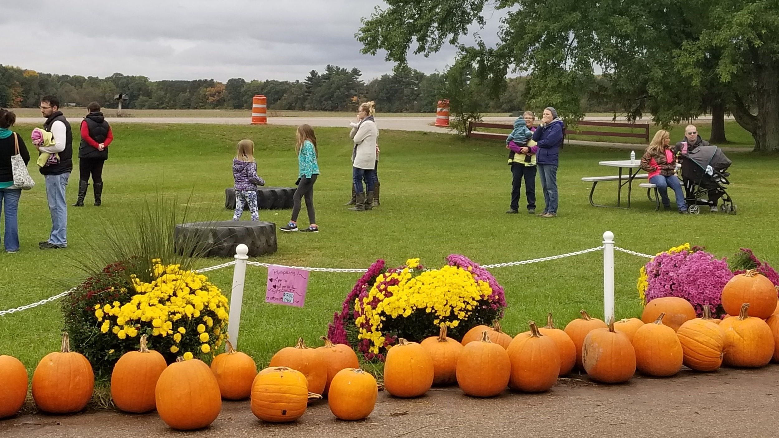 Waupaca County Pumpkin Patch.jpg