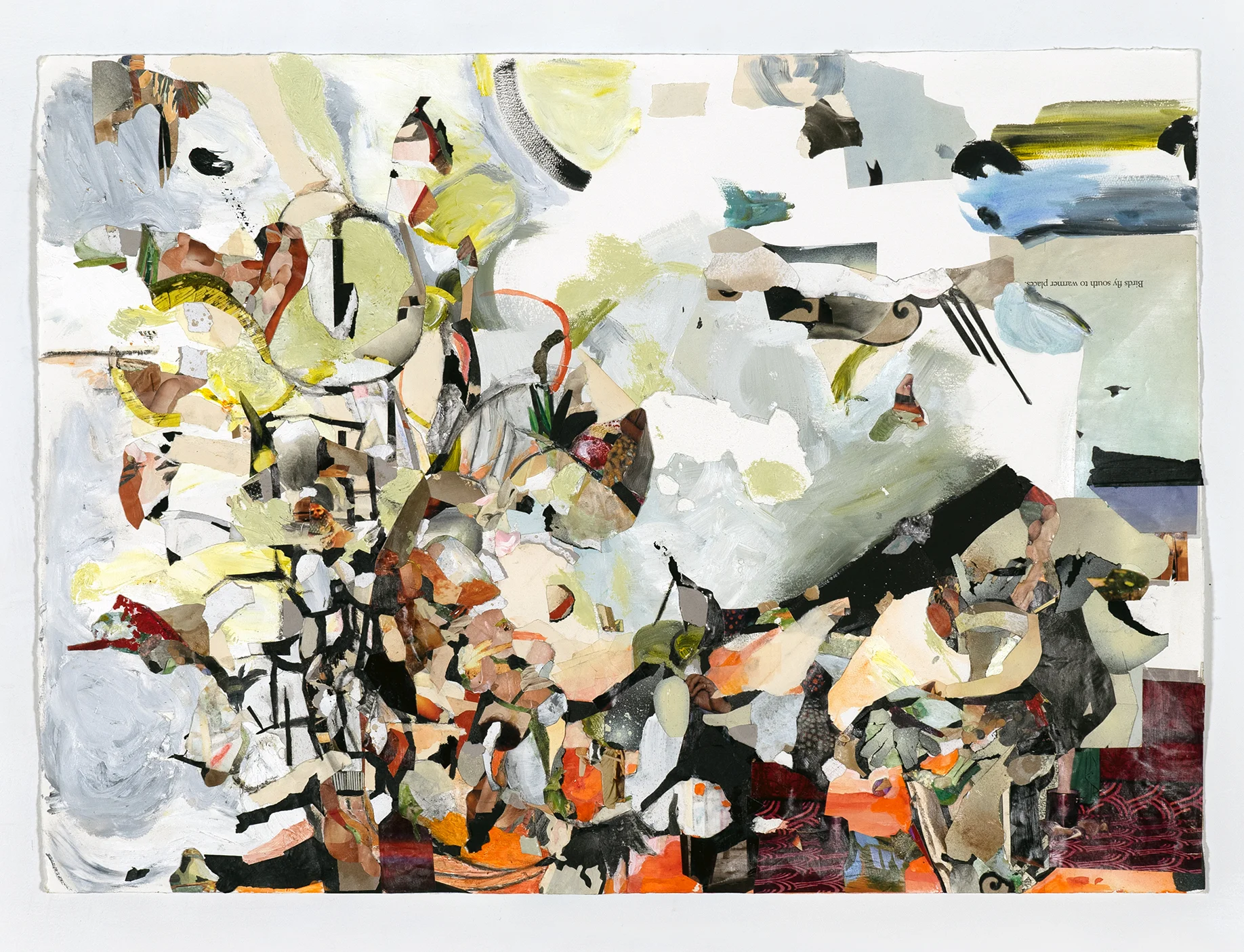Birds Fly South To Warmer Places, 2014, collage, acrylic, watercolor, charcoal, UV glaze, 22 x 30 ¾”