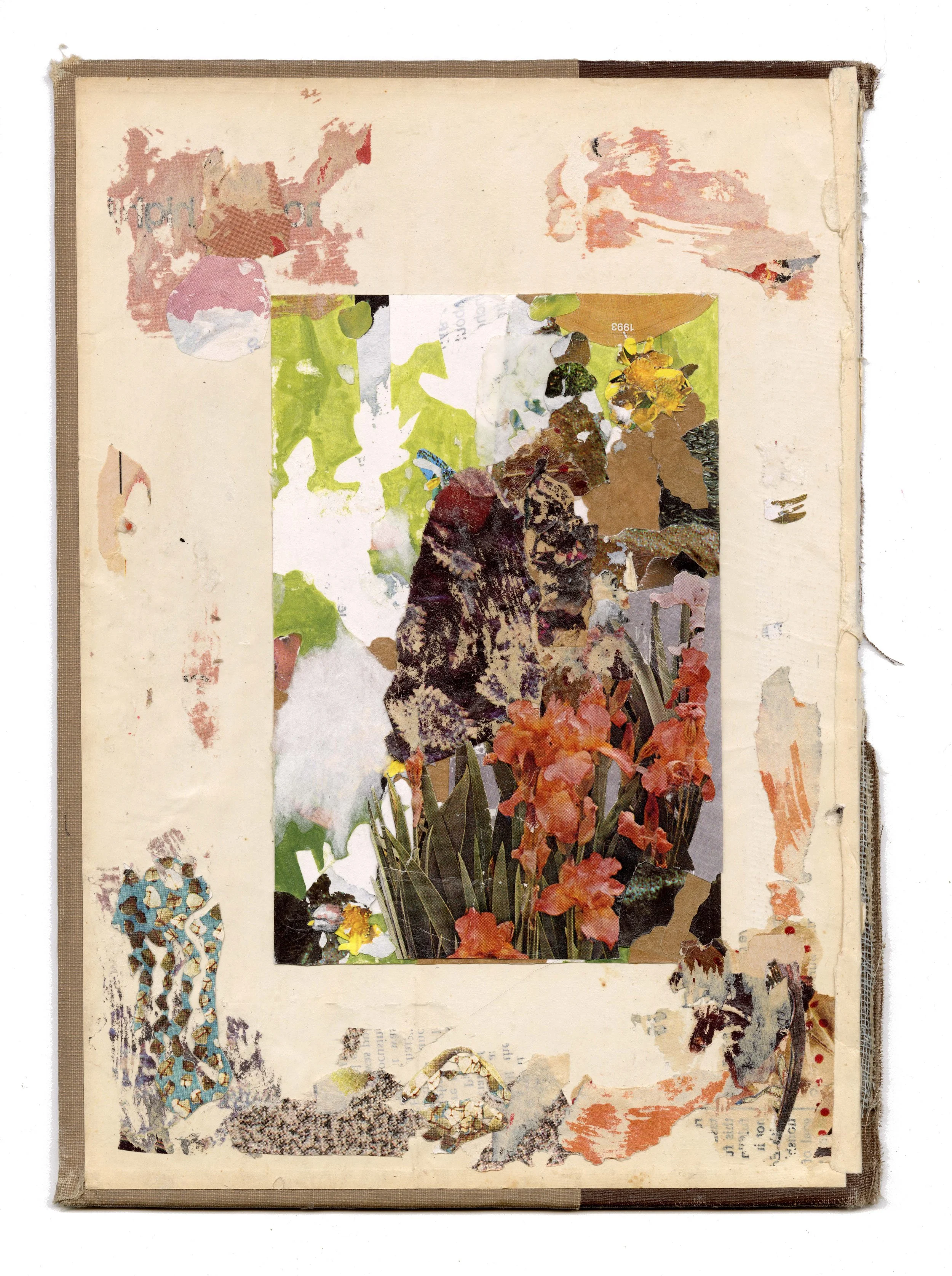 Andrea Scan006_web.jpg