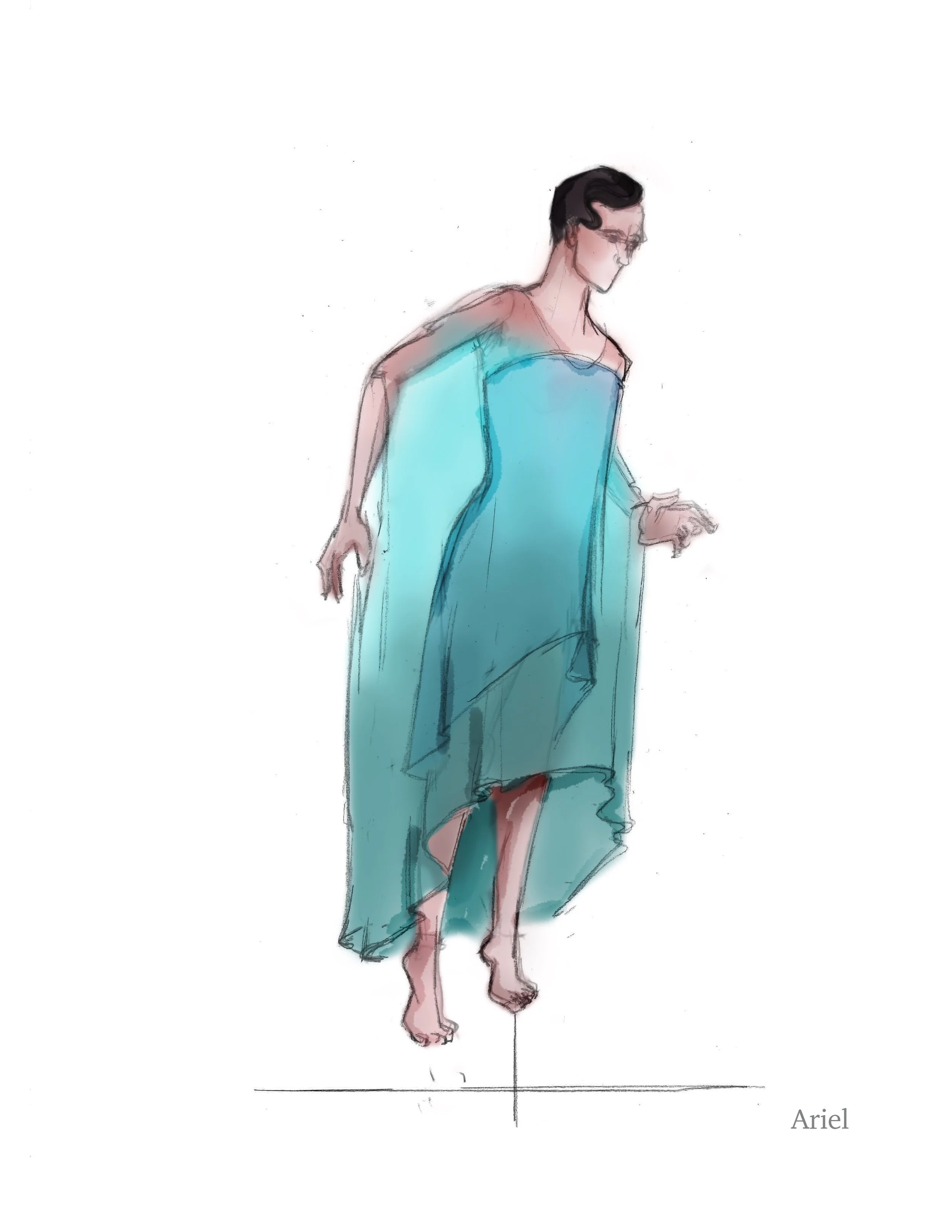 Ariel copy.jpg