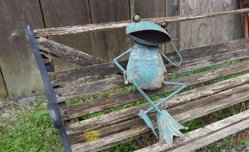 Farmer Frog Trail Running Festival at Paradise Farm, Woodinville