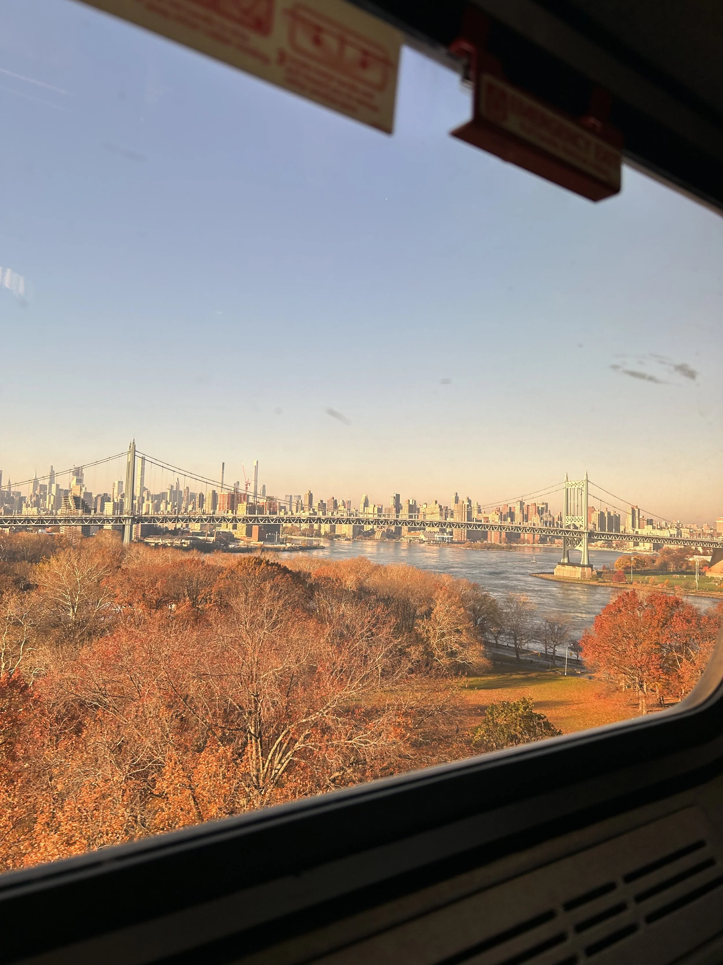 IMG_0883.jpeg